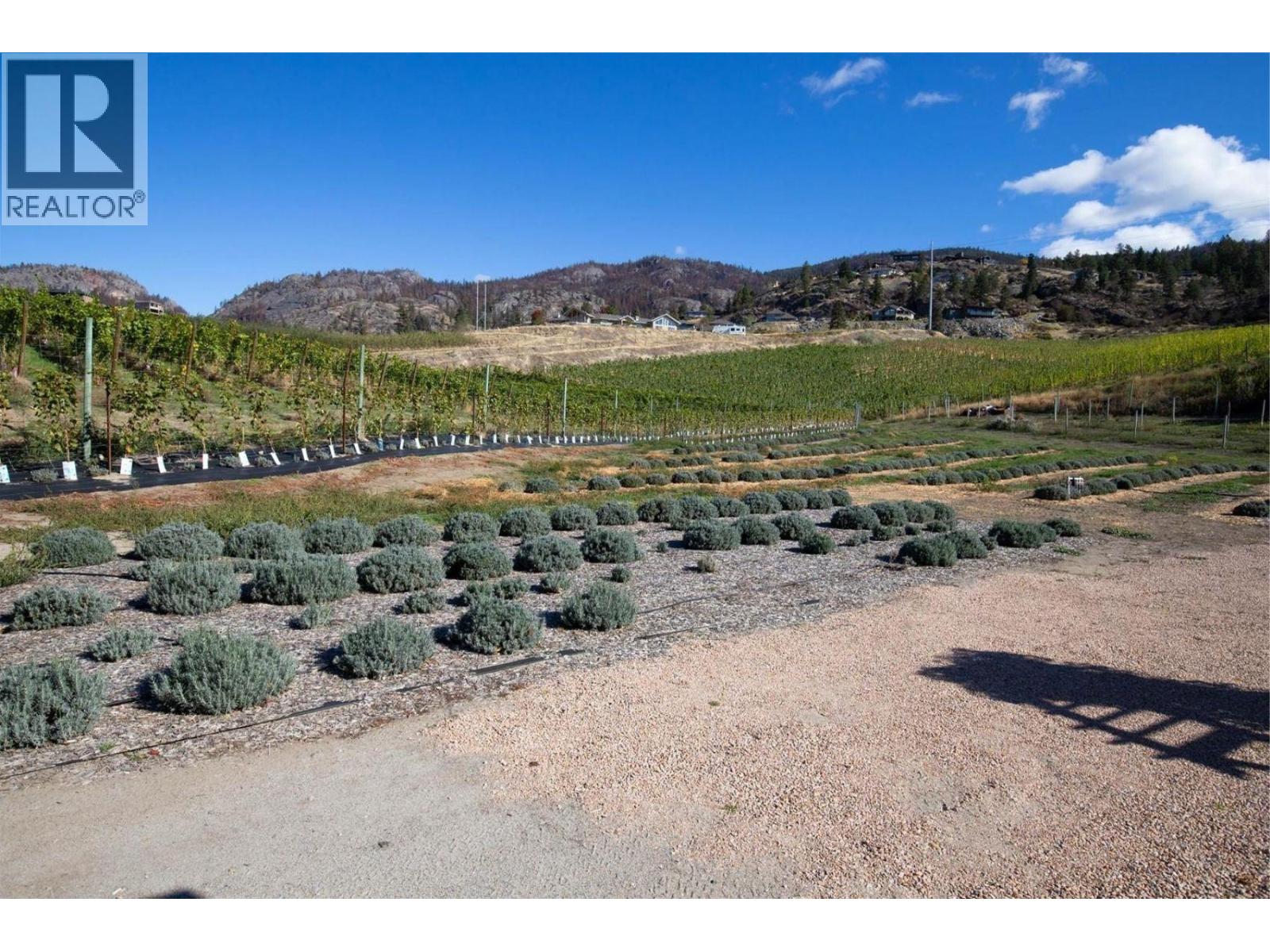 385 Matheson Road, Okanagan Falls, British Columbia  V0H 1R5 - Photo 13 - 10372489