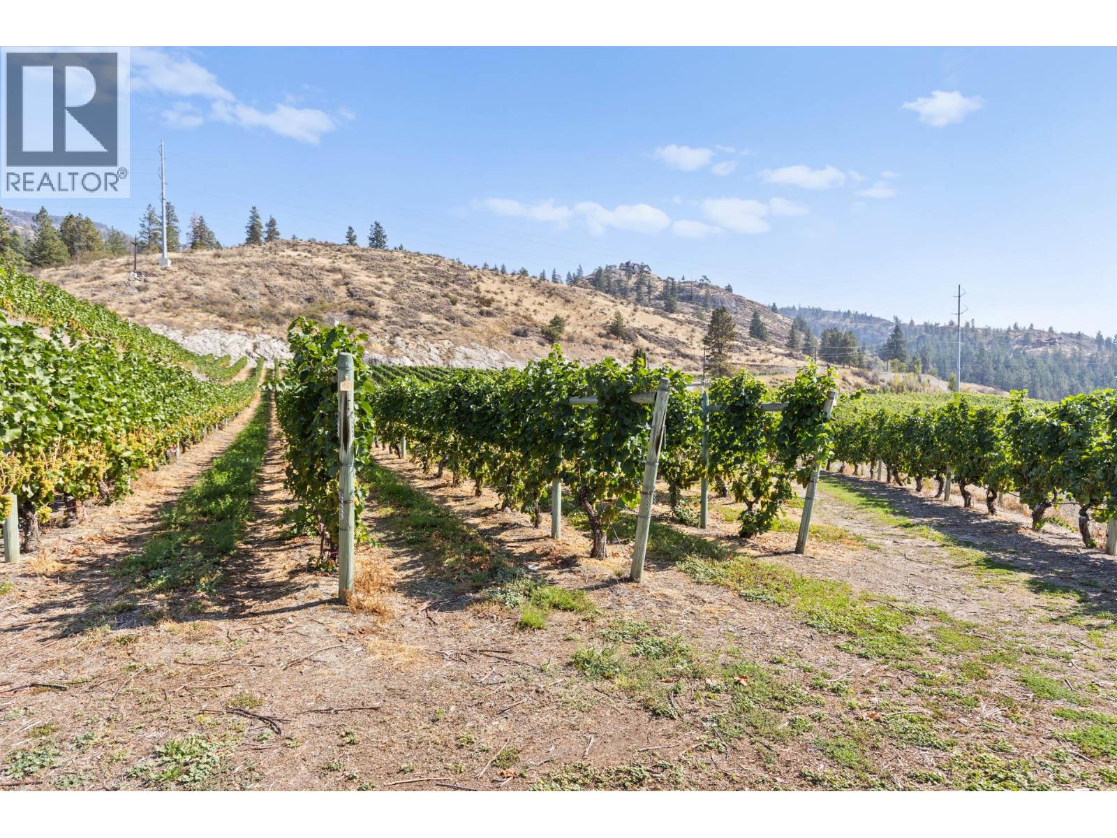 385 Matheson Road, Okanagan Falls, British Columbia  V0H 1R5 - Photo 17 - 10372489