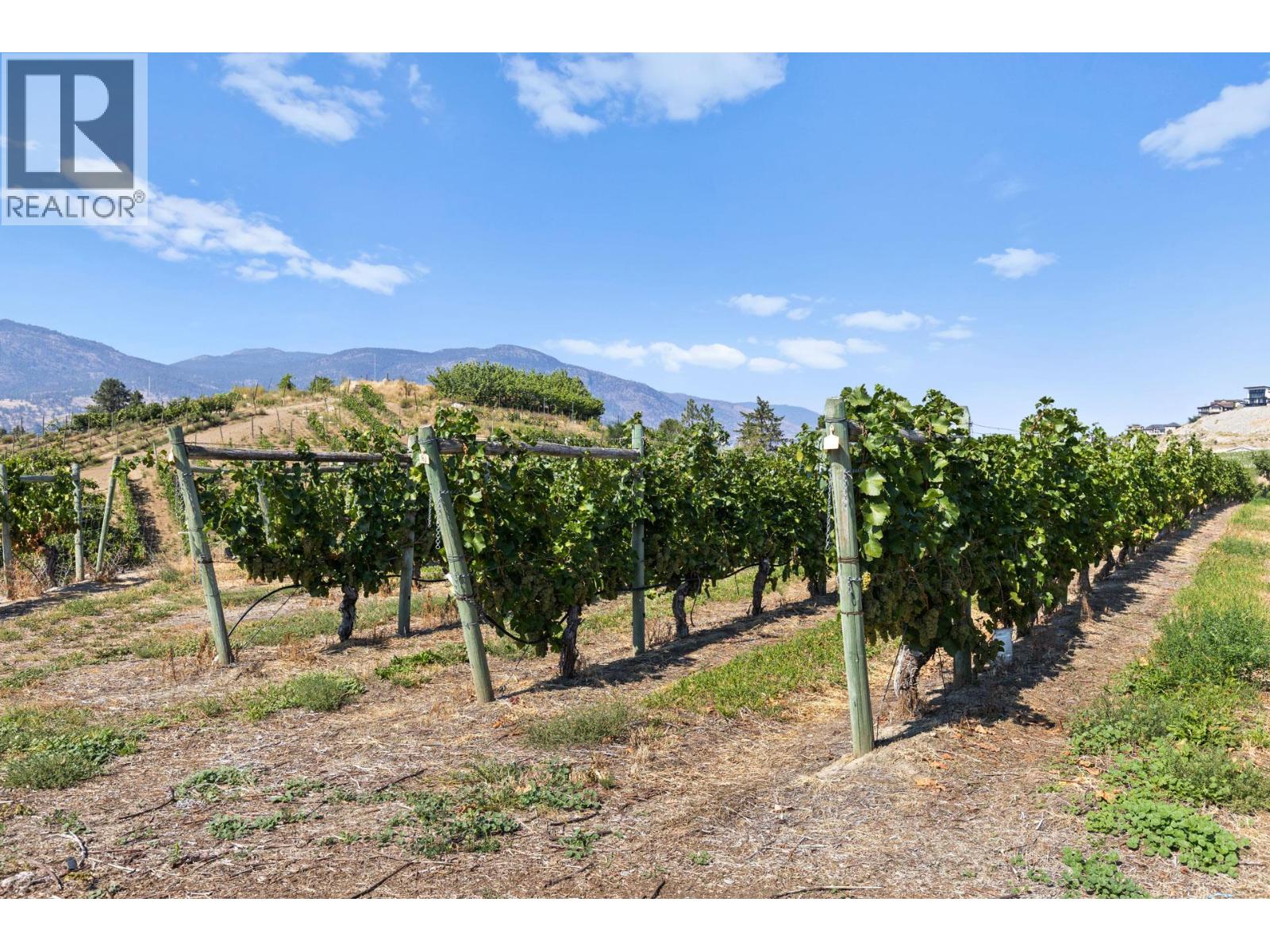 385 Matheson Road, Okanagan Falls, British Columbia  V0H 1R5 - Photo 18 - 10372489
