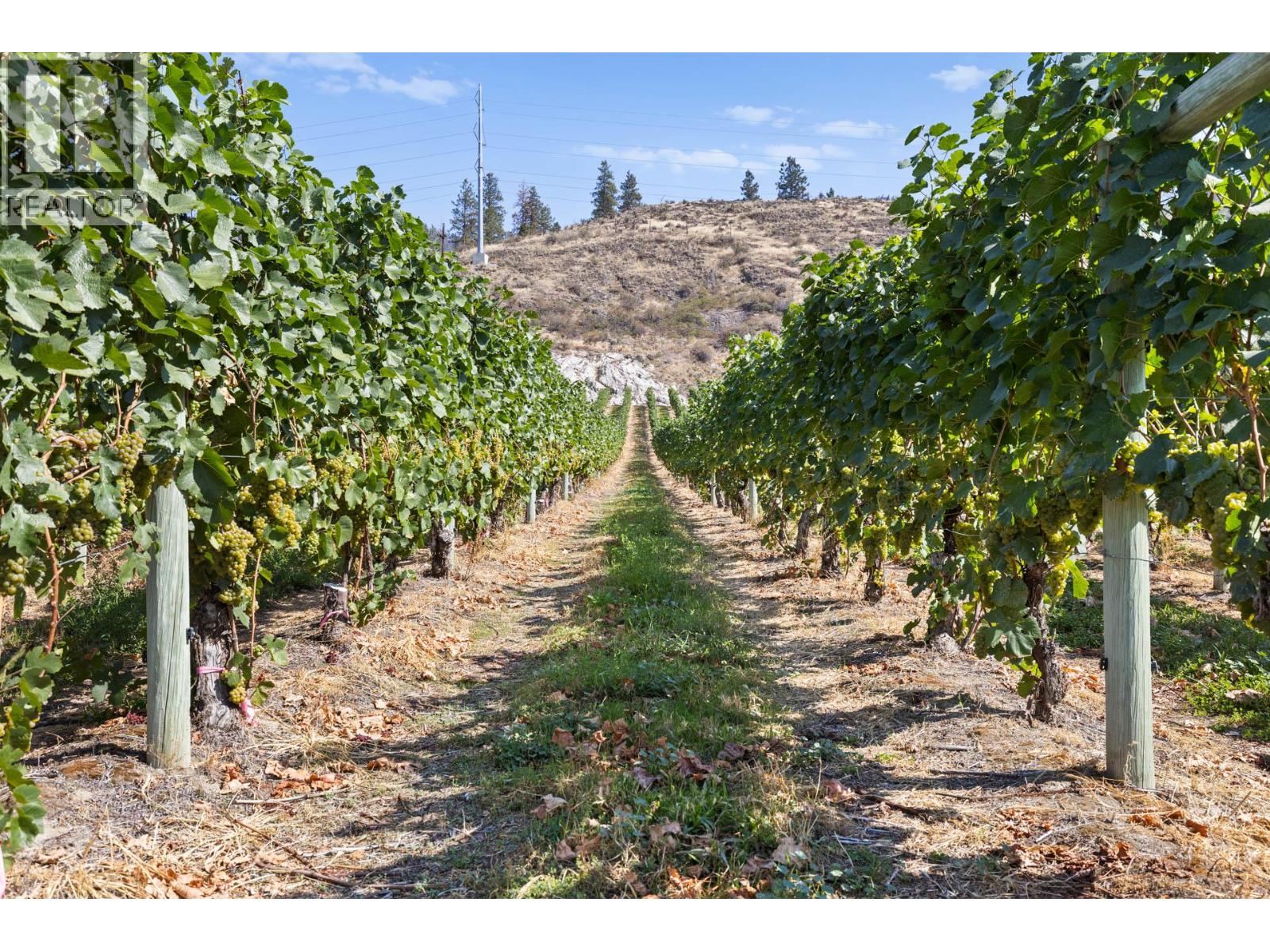 385 Matheson Road, Okanagan Falls, British Columbia  V0H 1R5 - Photo 19 - 10372489