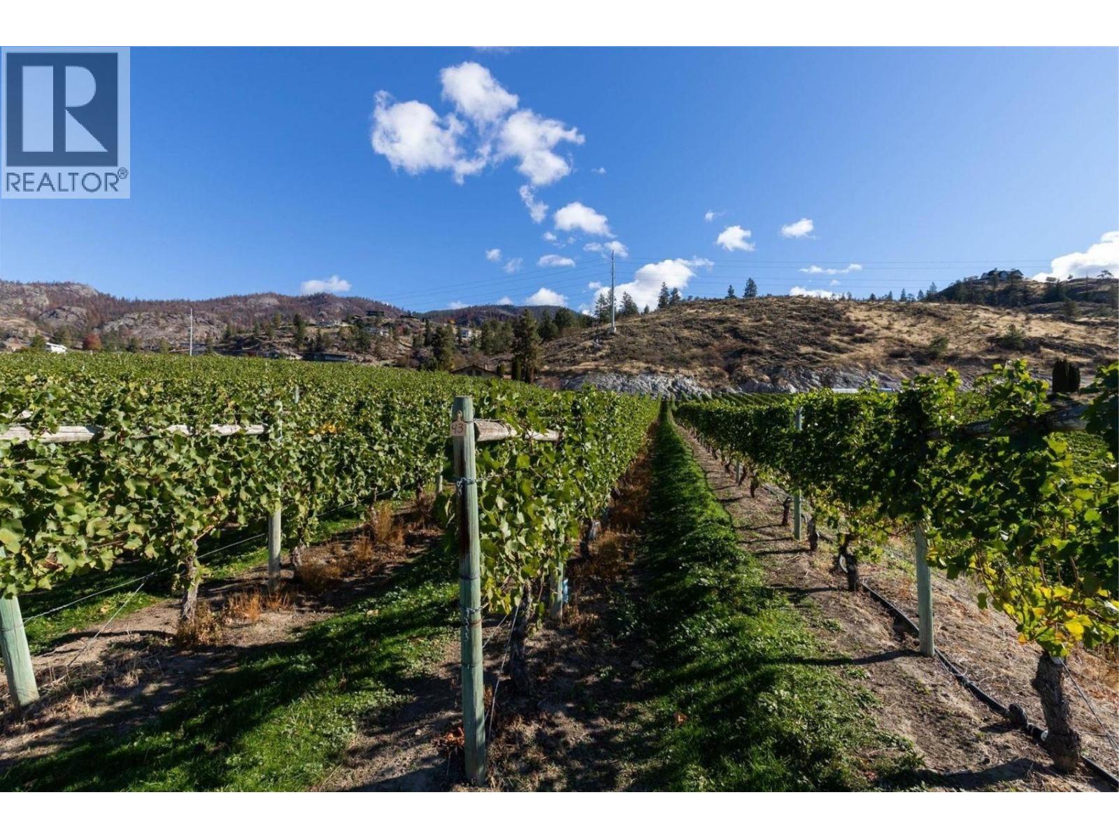 385 Matheson Road, Okanagan Falls, British Columbia  V0H 1R5 - Photo 31 - 10372489