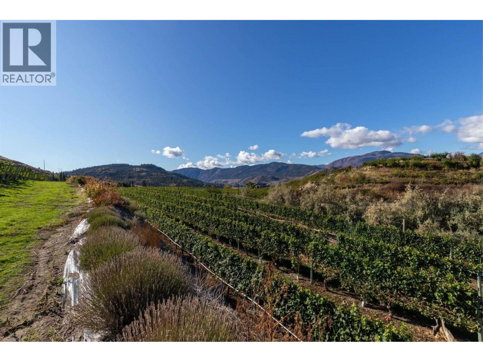385 Matheson Road, Okanagan Falls, British Columbia  V0H 1R5 - Photo 33 - 10372489