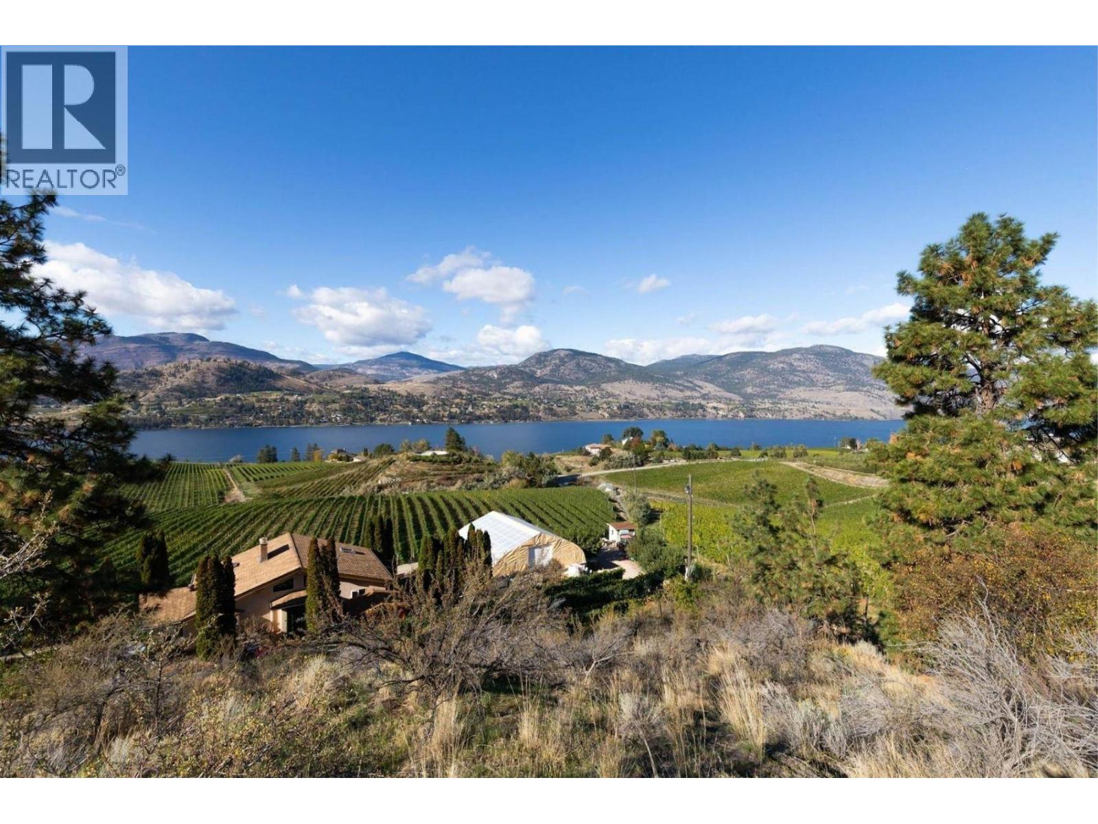 385 Matheson Road, Okanagan Falls, British Columbia  V0H 1R5 - Photo 38 - 10372489