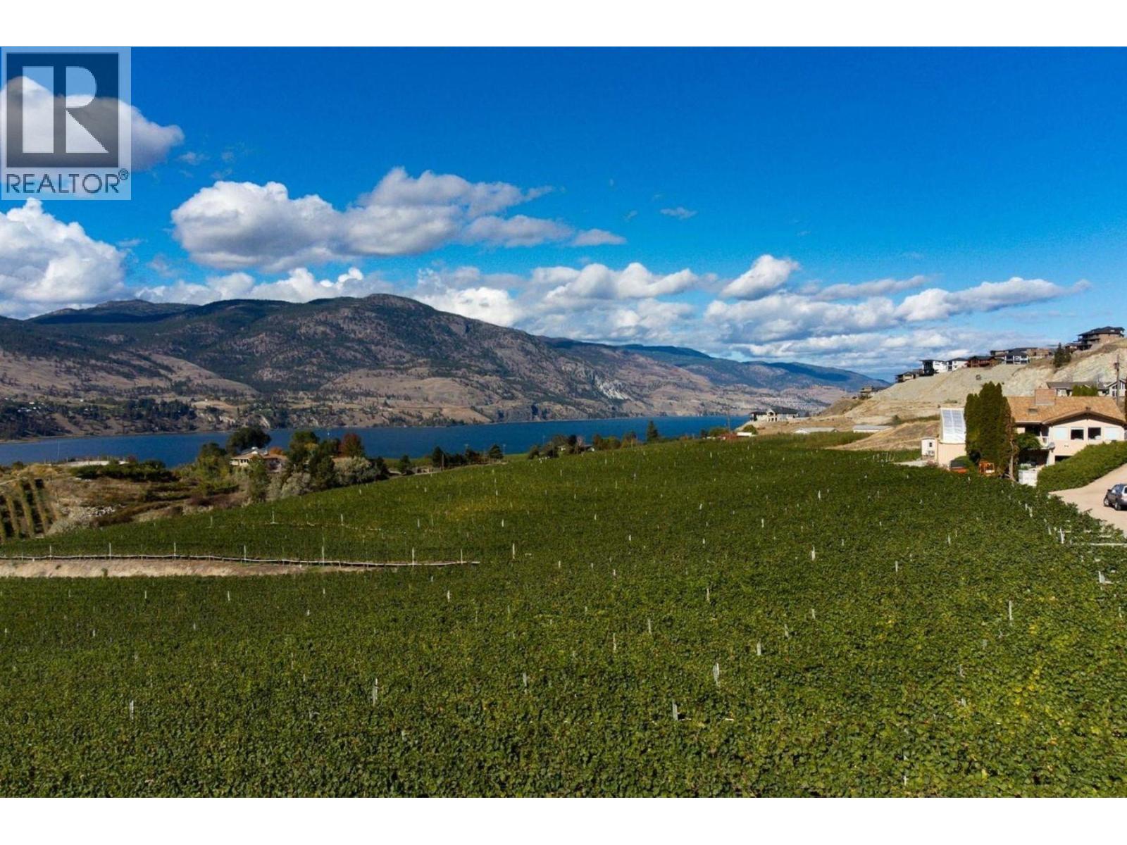 385 Matheson Road, Okanagan Falls, British Columbia  V0H 1R5 - Photo 6 - 10372489