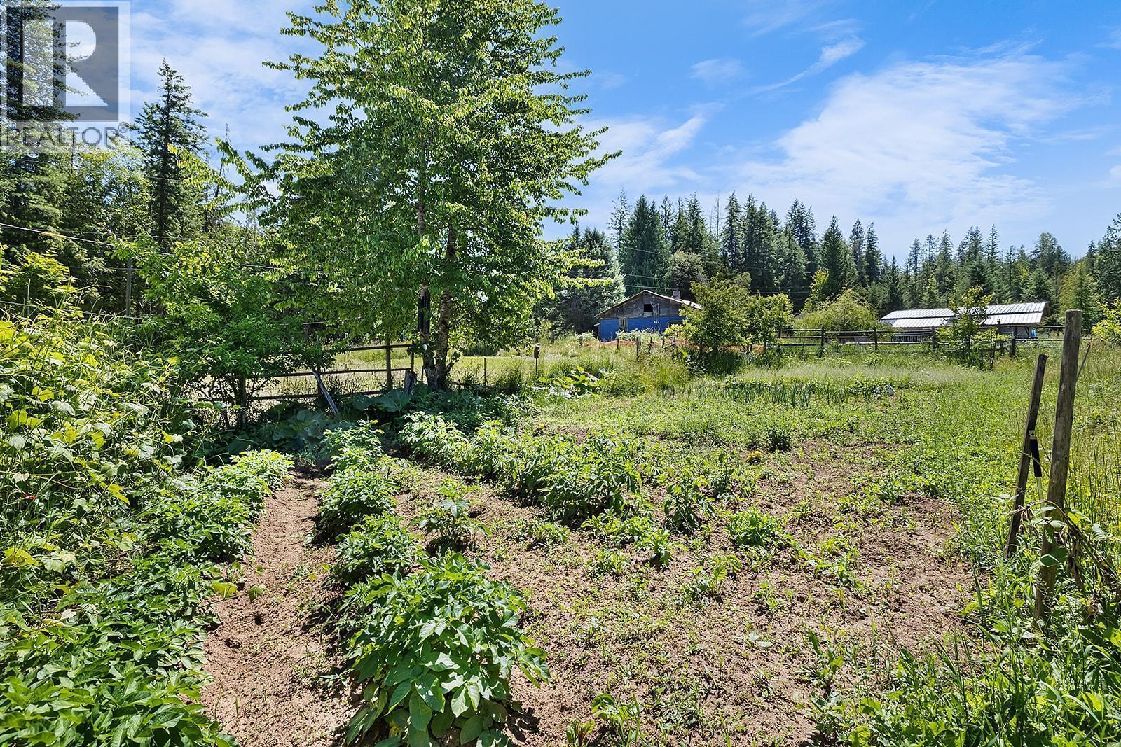 15781 Peters Road, Crawford Bay, British Columbia  V0B 1E0 - Photo 9 - 10372482