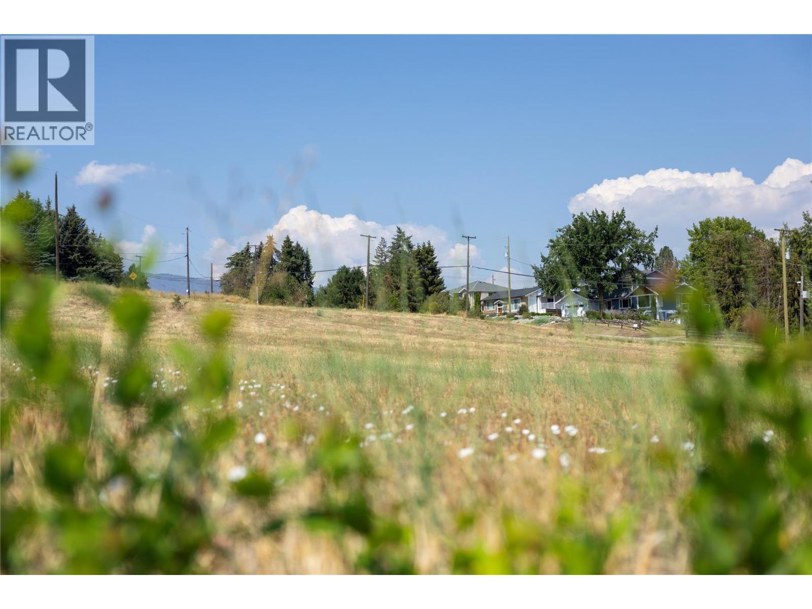 230 Mendenhall Road, Spallumcheen, British Columbia  V1H 1X1 - Photo 22 - 10373015