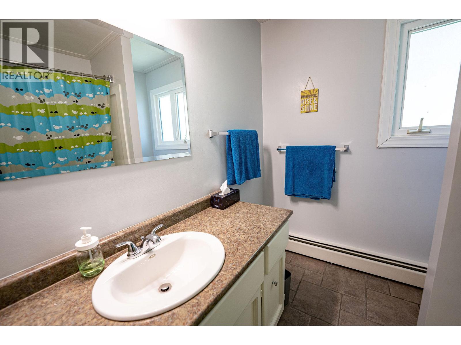 488 Alpine Lane, Revelstoke, British Columbia  V0E 2S0 - Photo 47 - 10372911