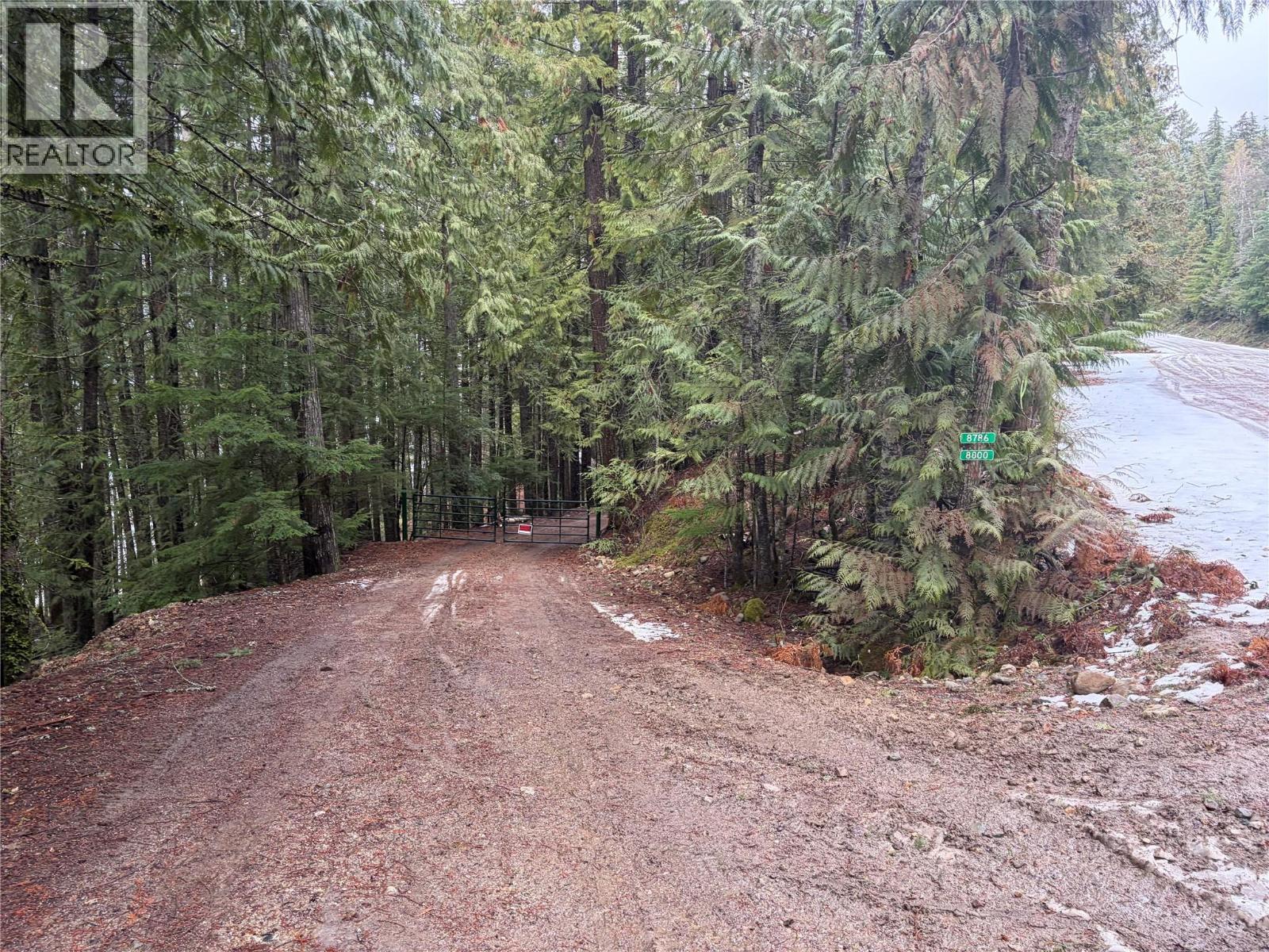 8700 Mabel Lake Road, Lumby, British Columbia  V0E 2G0 - Photo 3 - 10373028