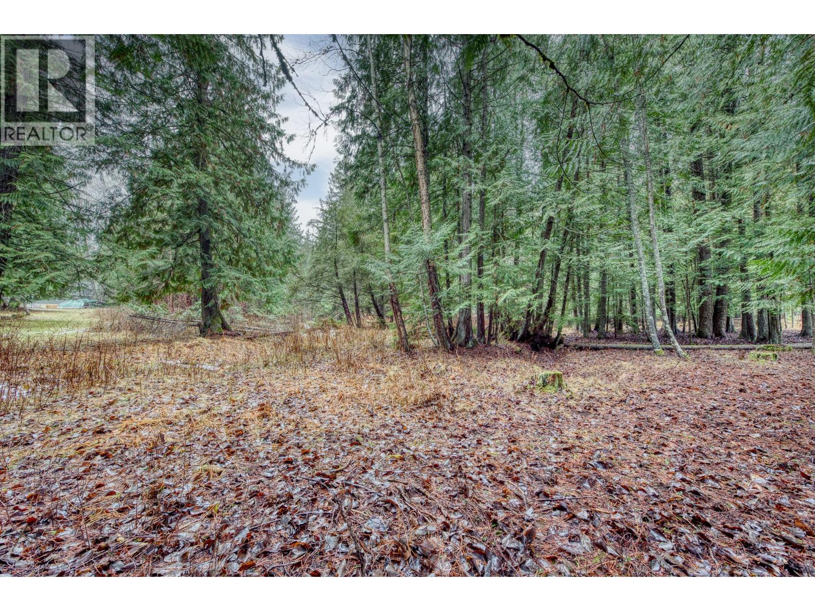 16102 3a Highway, Crawford Bay, British Columbia  V0B 1E0 - Photo 37 - 10372826