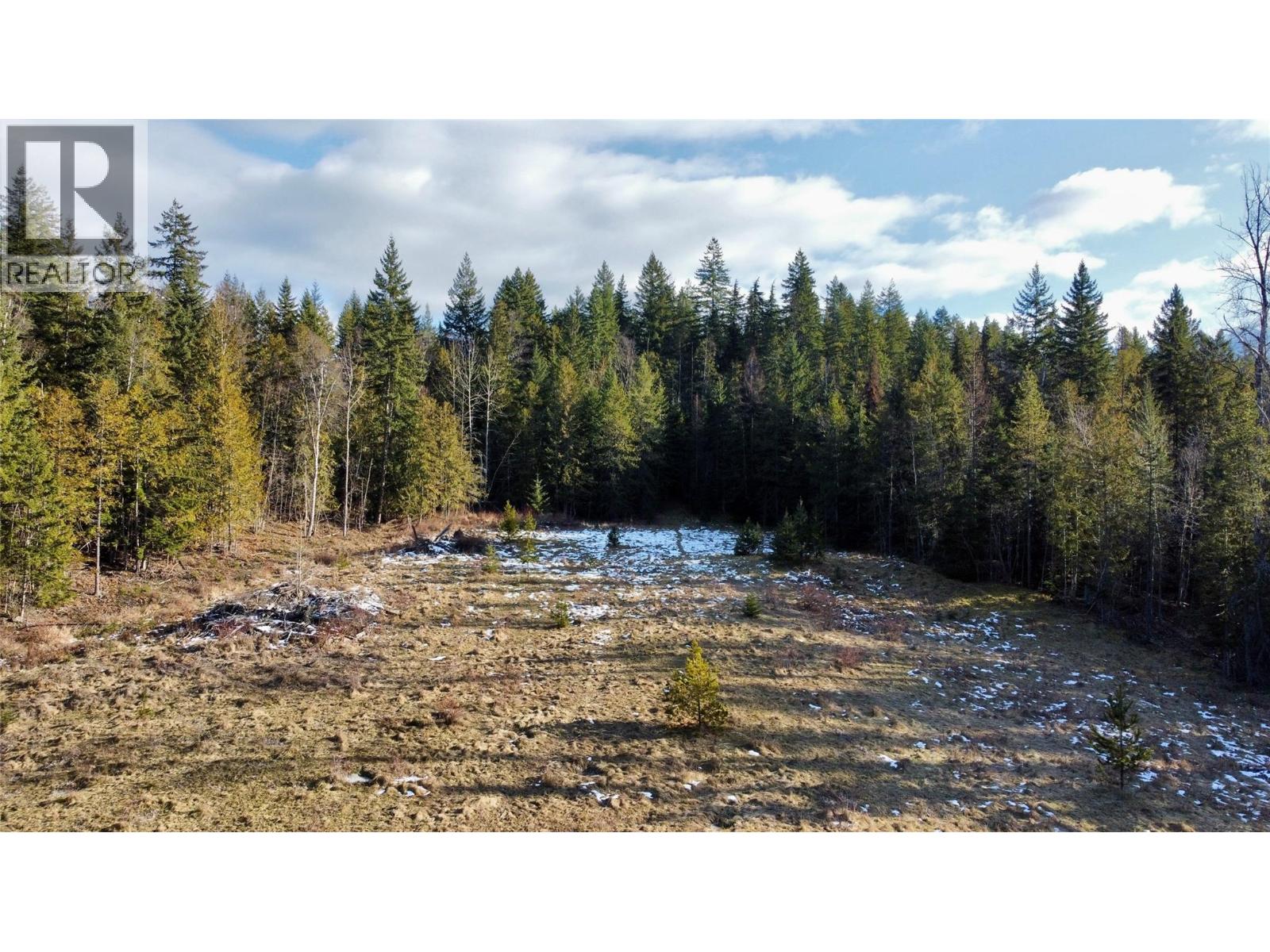 319 Nakusp East Road, Nakusp, British Columbia  V0G 1R1 - Photo 21 - 10373110
