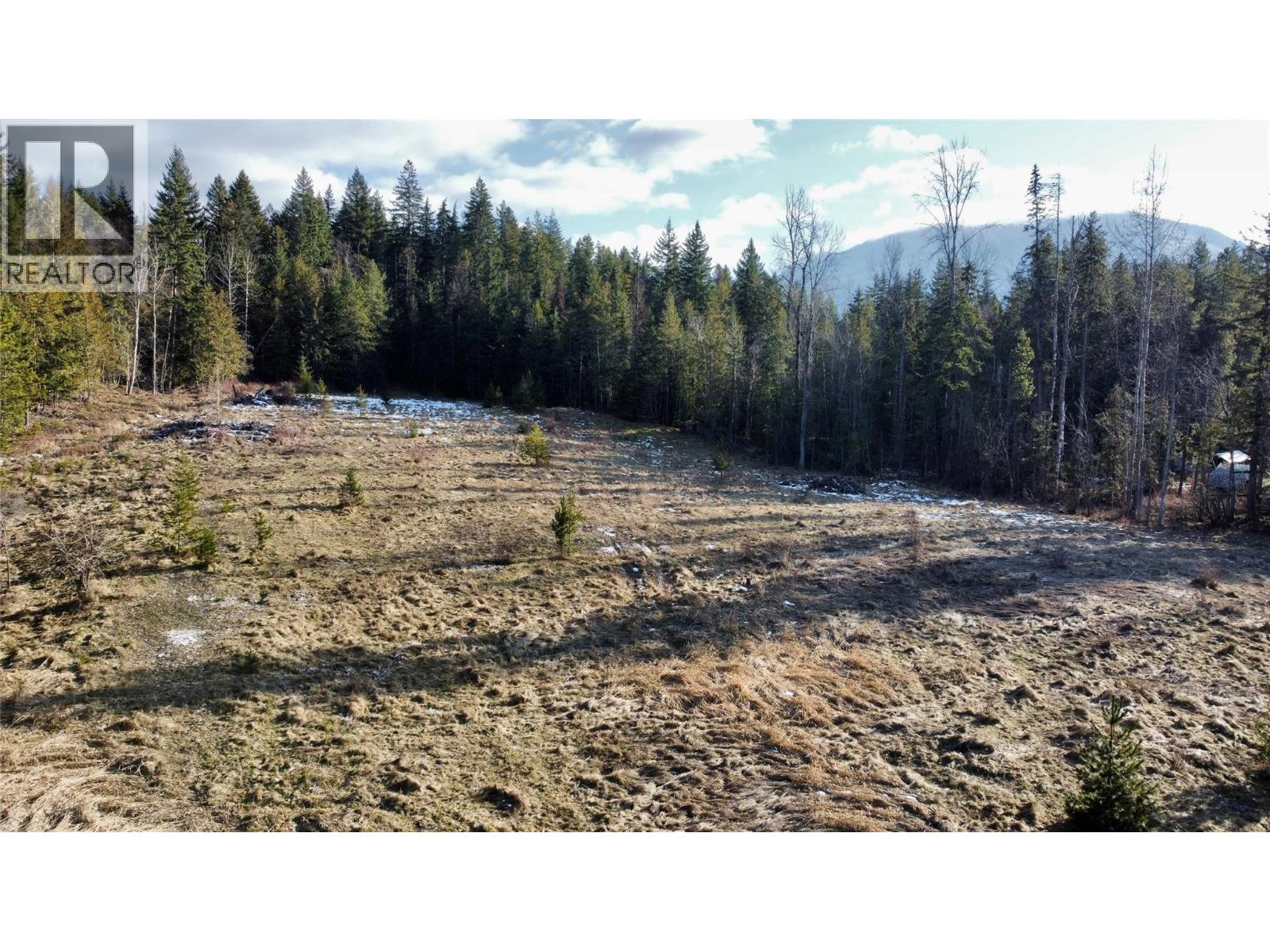 319 Nakusp East Road, Nakusp, British Columbia  V0G 1R1 - Photo 26 - 10373110