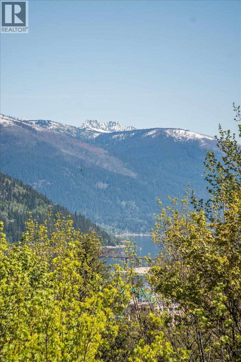 604 Wasson Street, Nelson, British Columbia  V1L 3G7 - Photo 68 - 10372622