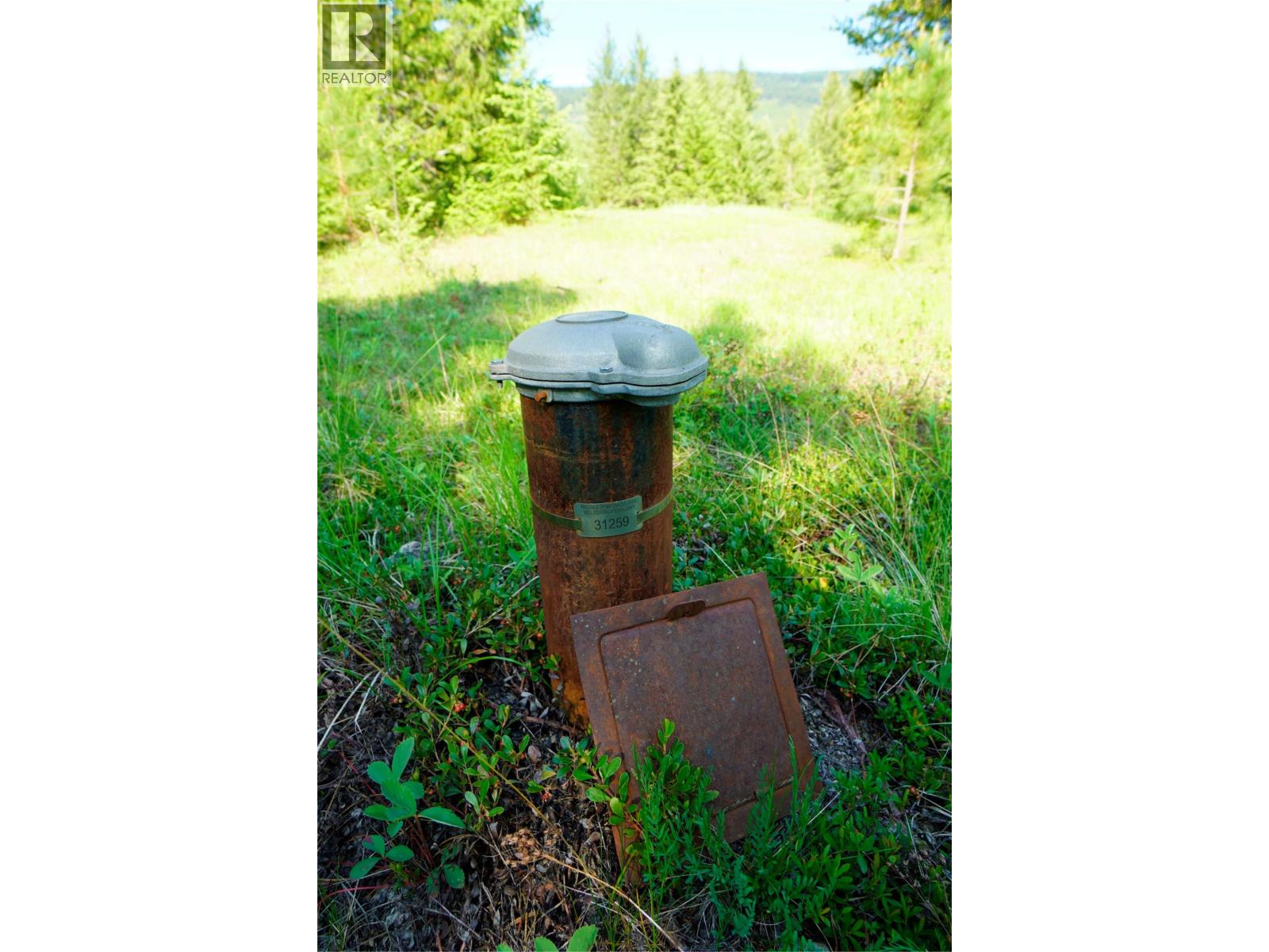 Lot 1 Mary G Road, Beaverdell, British Columbia  V0H 1A0 - Photo 4 - 10372717