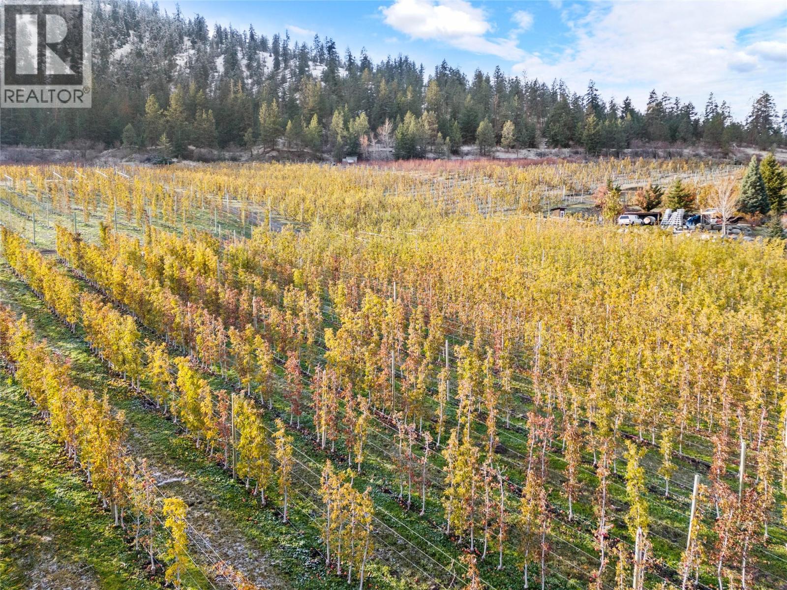 9827 Gillard Avenue, Summerland, British Columbia  V0H 1Z8 - Photo 14 - 10373146