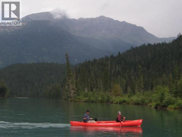 Specialty Clearwater Valley Road, Wells Gray, British Columbia  V0E 1N1 - Photo 21 - 10373204