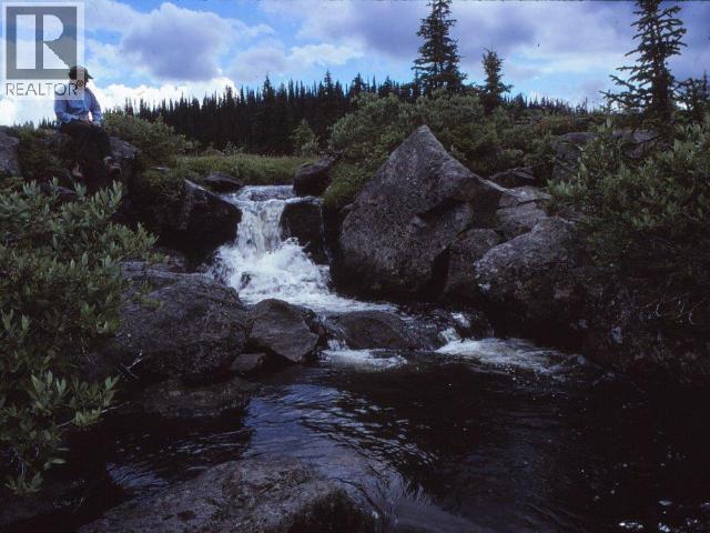 Specialty Clearwater Valley Road, Wells Gray, British Columbia  V0E 1N1 - Photo 35 - 10373204