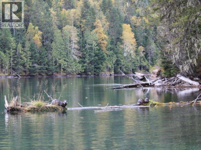 Specialty Clearwater Valley Road, Wells Gray, British Columbia  V0E 1N1 - Photo 42 - 10373204