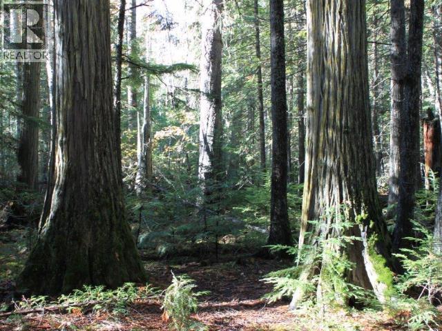 Specialty Clearwater Valley Road, Wells Gray, British Columbia  V0E 1N1 - Photo 43 - 10373204