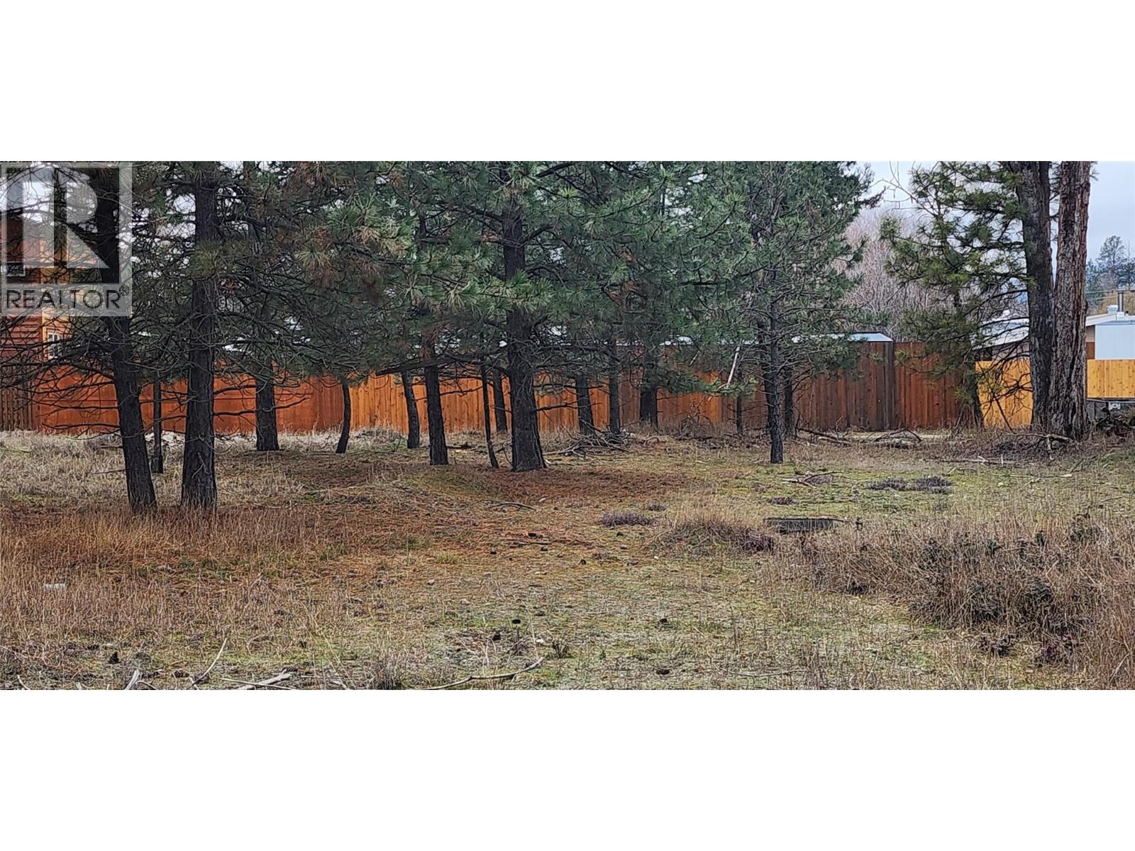 Lot 4 7th Street, Grand Forks, British Columbia  V0H 1H0 - Photo 4 - 10373245