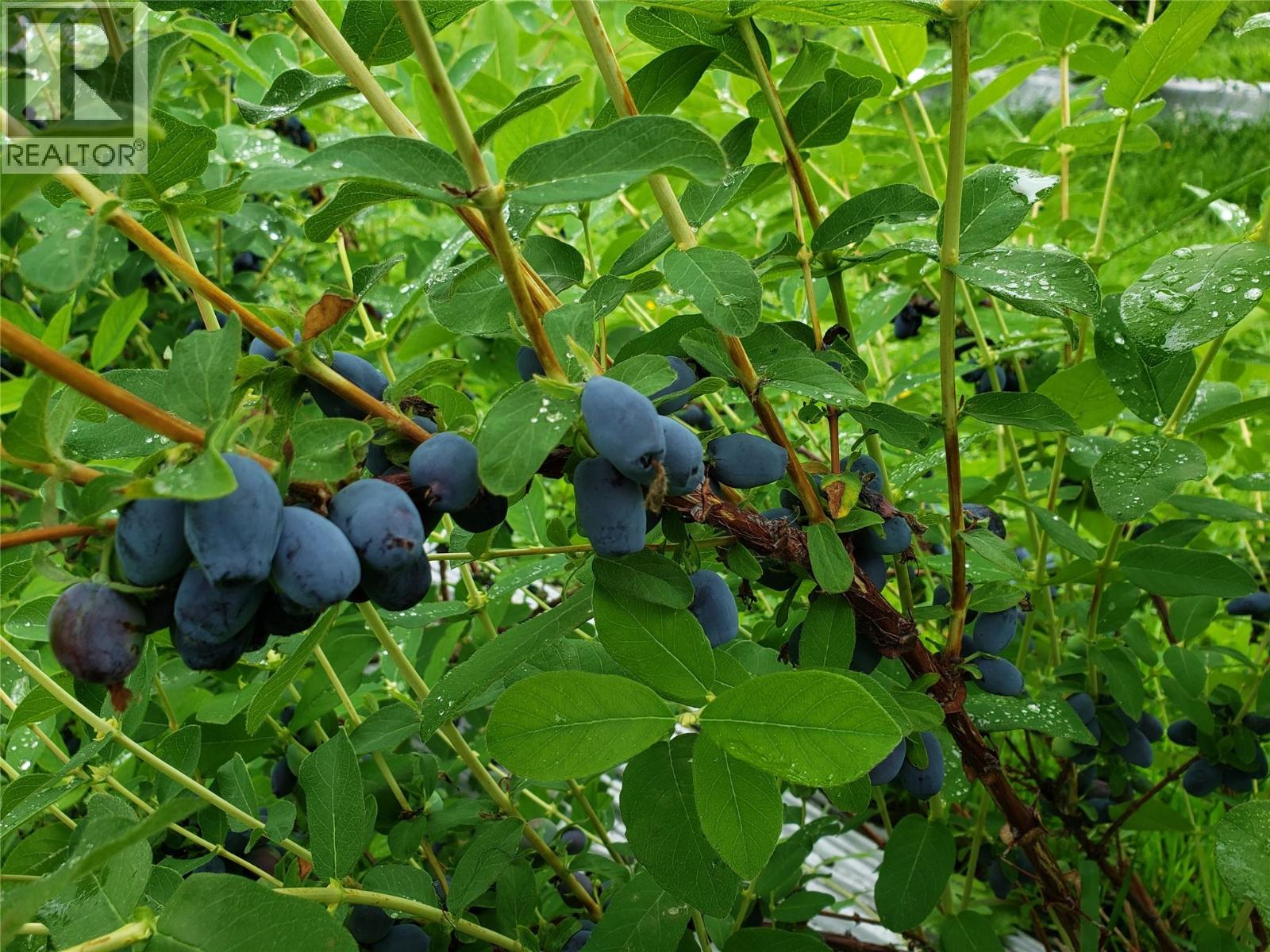 20412 Garnet Valley Road, Summerland, British Columbia  V0H 1Z3 - Photo 33 - 10372681