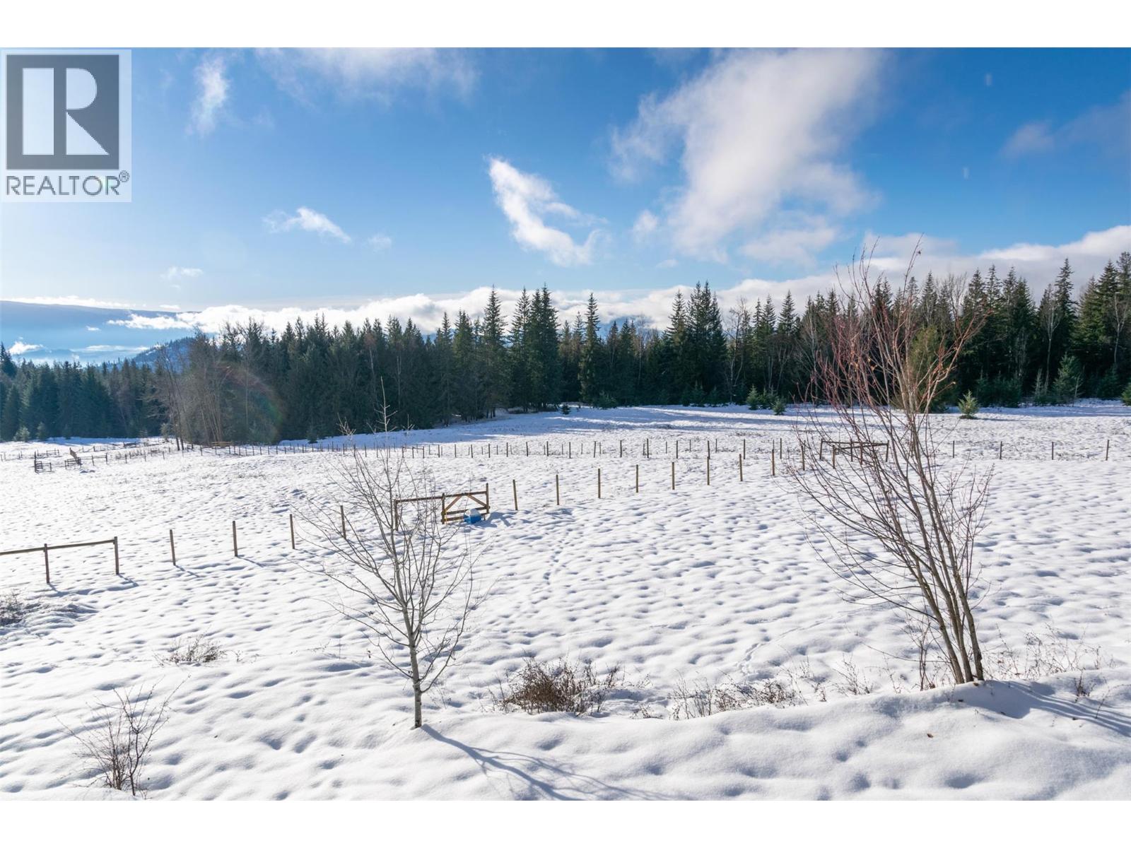 100 Lidstone Road, Salmon Arm, British Columbia  V1E 2Y1 - Photo 54 - 10373217