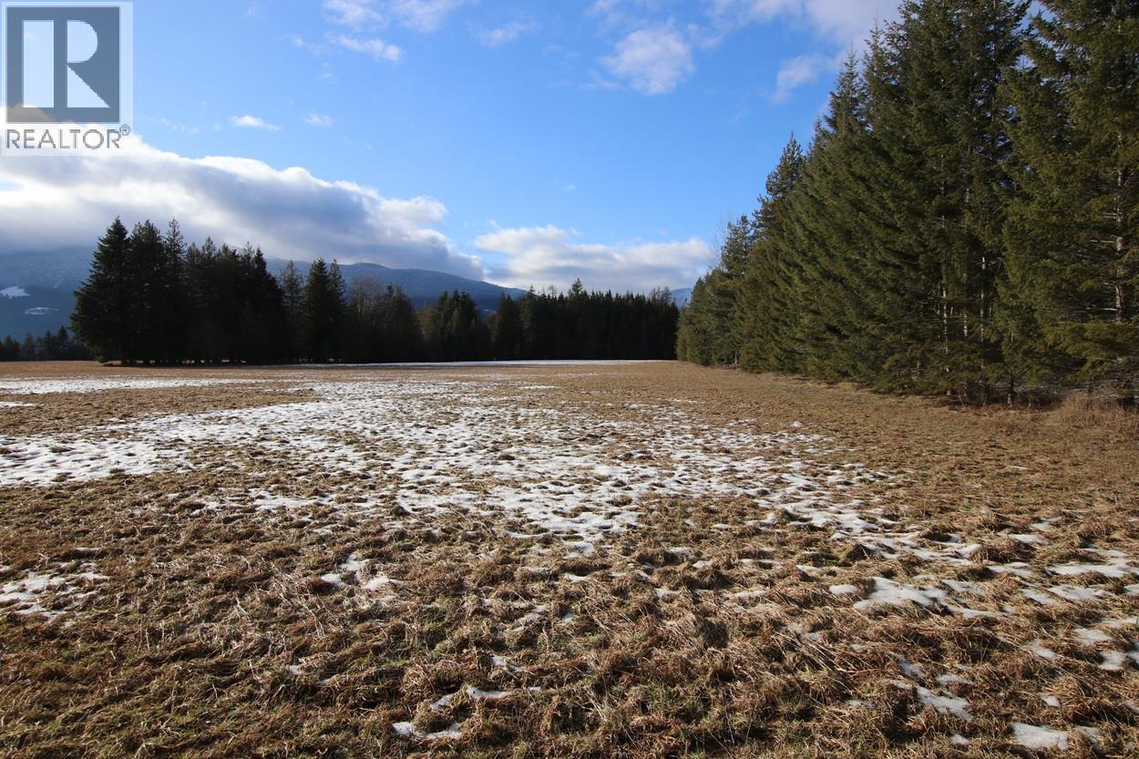 252 Church Hill Road, Nakusp, British Columbia  V0G 1R1 - Photo 28 - 10373156