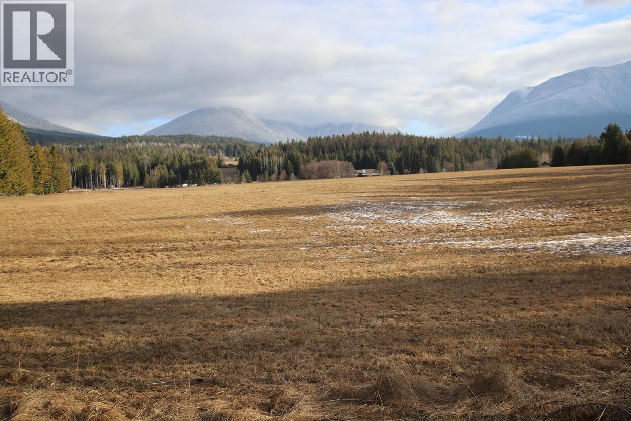 252 Church Hill Road, Nakusp, British Columbia  V0G 1R1 - Photo 35 - 10373156