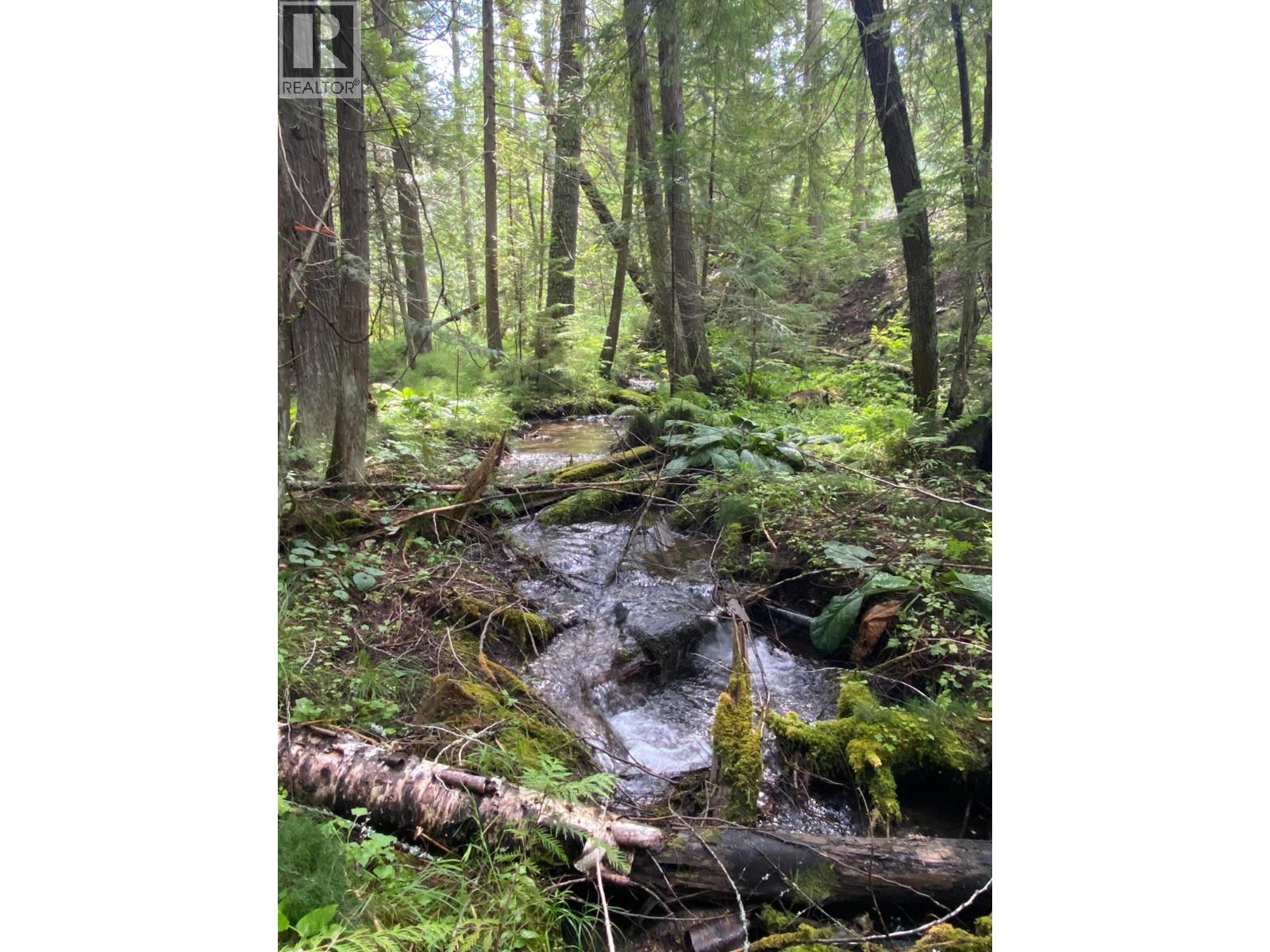 9841 Talbot Road, Nelway, British Columbia  V0G 1Z0 - Photo 59 - 10372904
