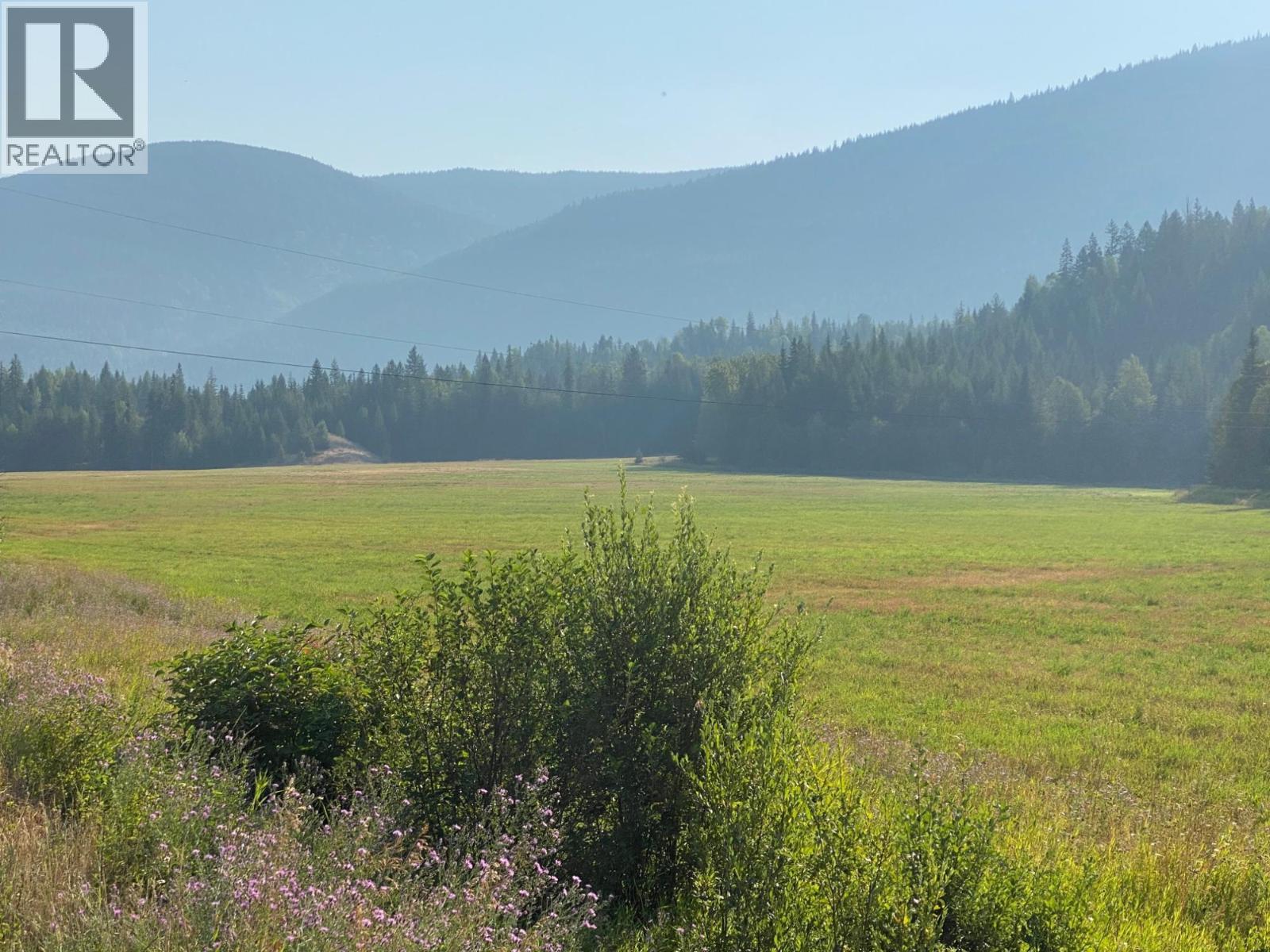 9841 Talbot Road, Nelway, British Columbia  V0G 1Z0 - Photo 63 - 10372904