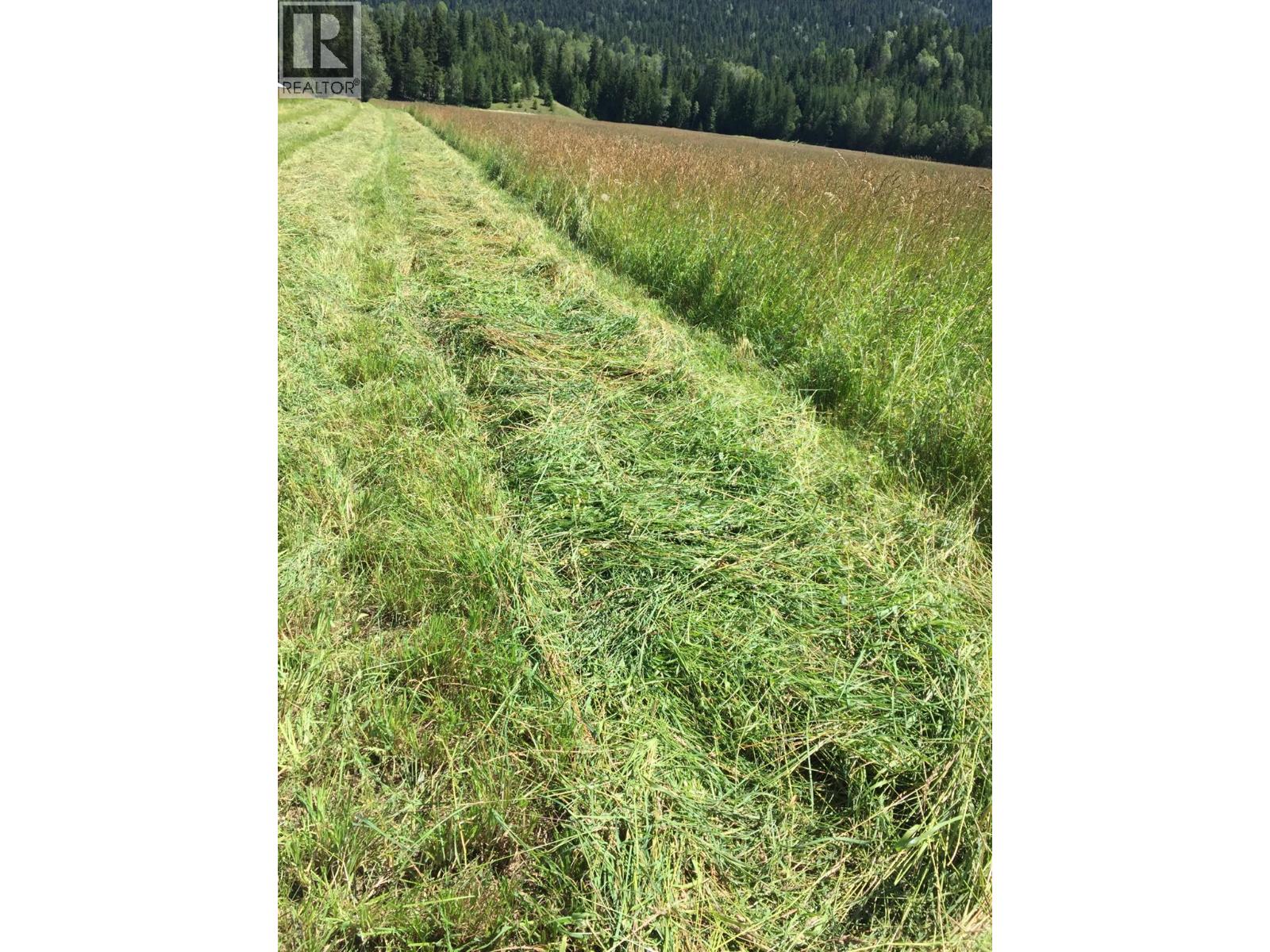 9841 Talbot Road, Nelway, British Columbia  V0G 1Z0 - Photo 64 - 10372904