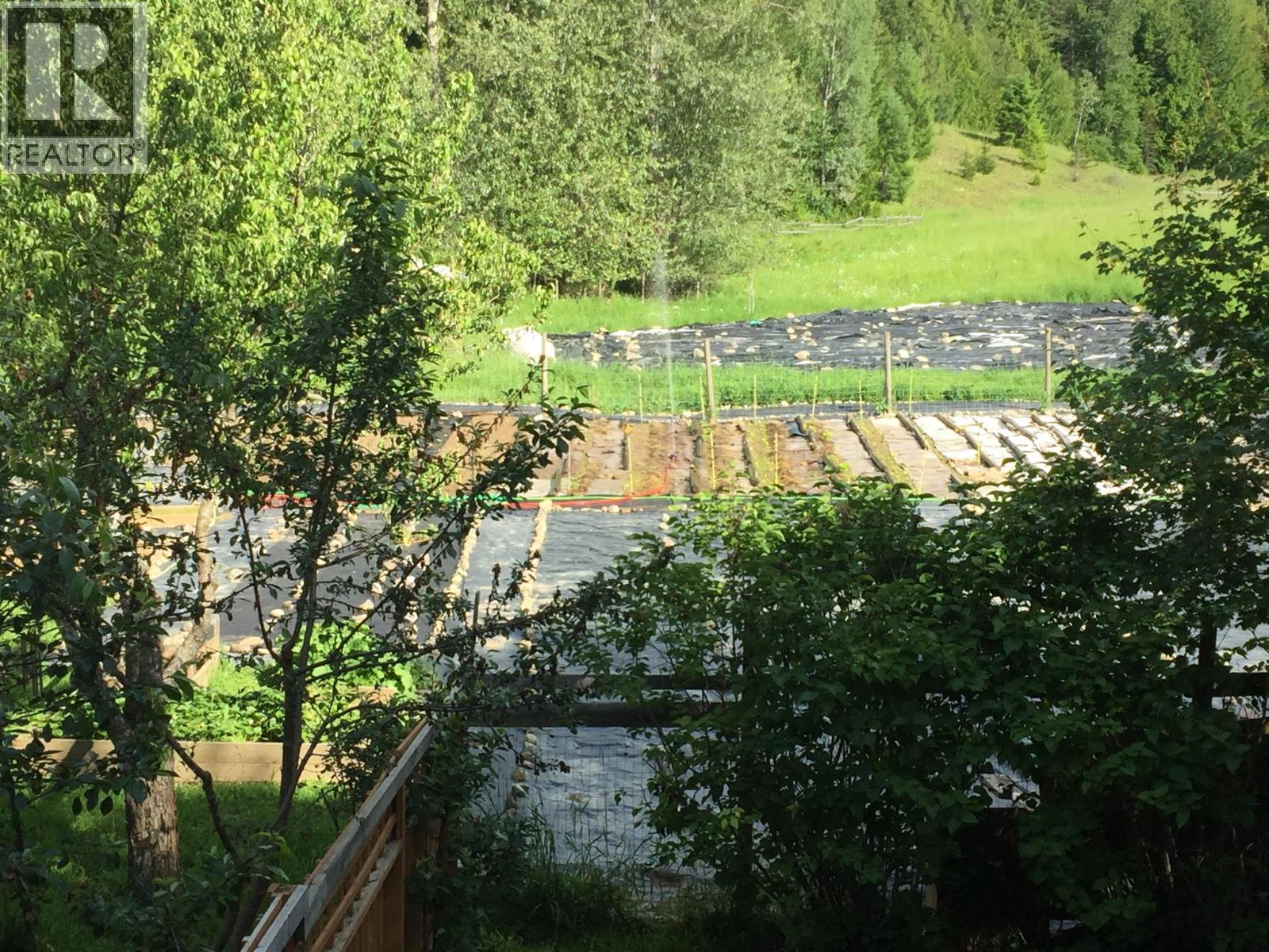 9841 Talbot Road, Nelway, British Columbia  V0G 1Z0 - Photo 89 - 10372904