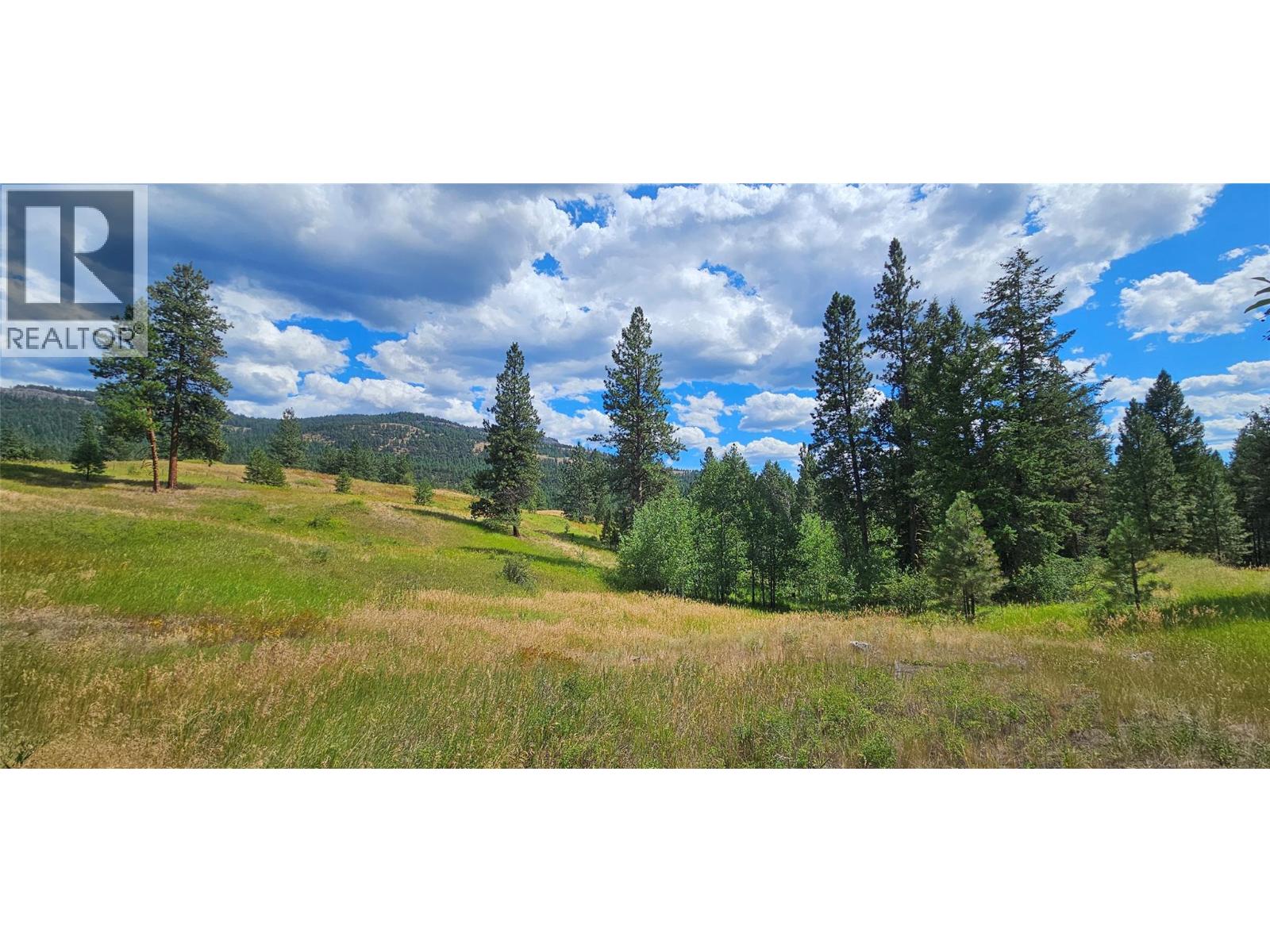 DL 311S NICHOLSON CREEK Road Unit# Lot A, rock creek, British Columbia
