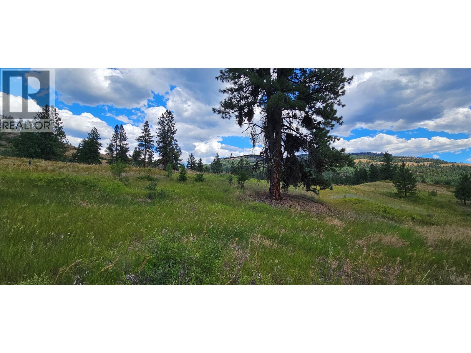 Dl 311s Nicholson Creek Road Unit# Lot A, Rock Creek, British Columbia  V0H 1Y0 - Photo 11 - 10373535