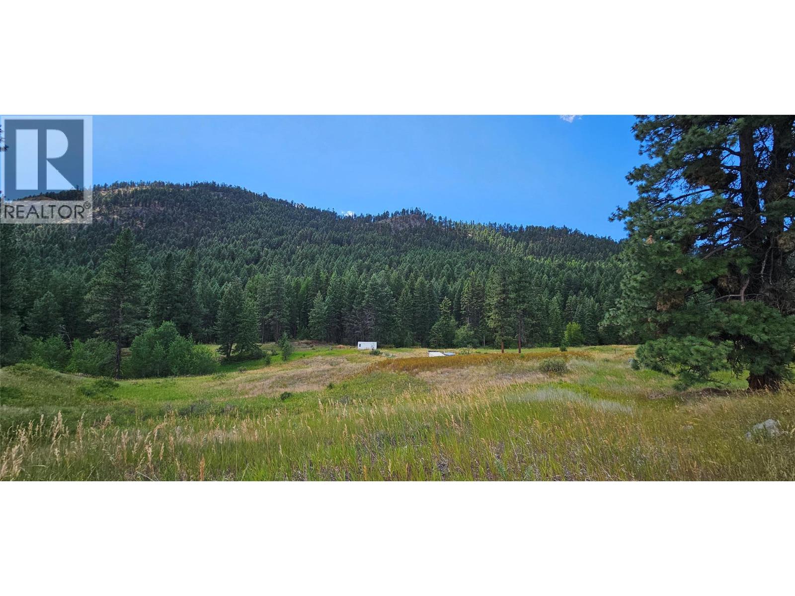 Dl 311s Nicholson Creek Road Unit# Lot A, Rock Creek, British Columbia  V0H 1Y0 - Photo 12 - 10373535