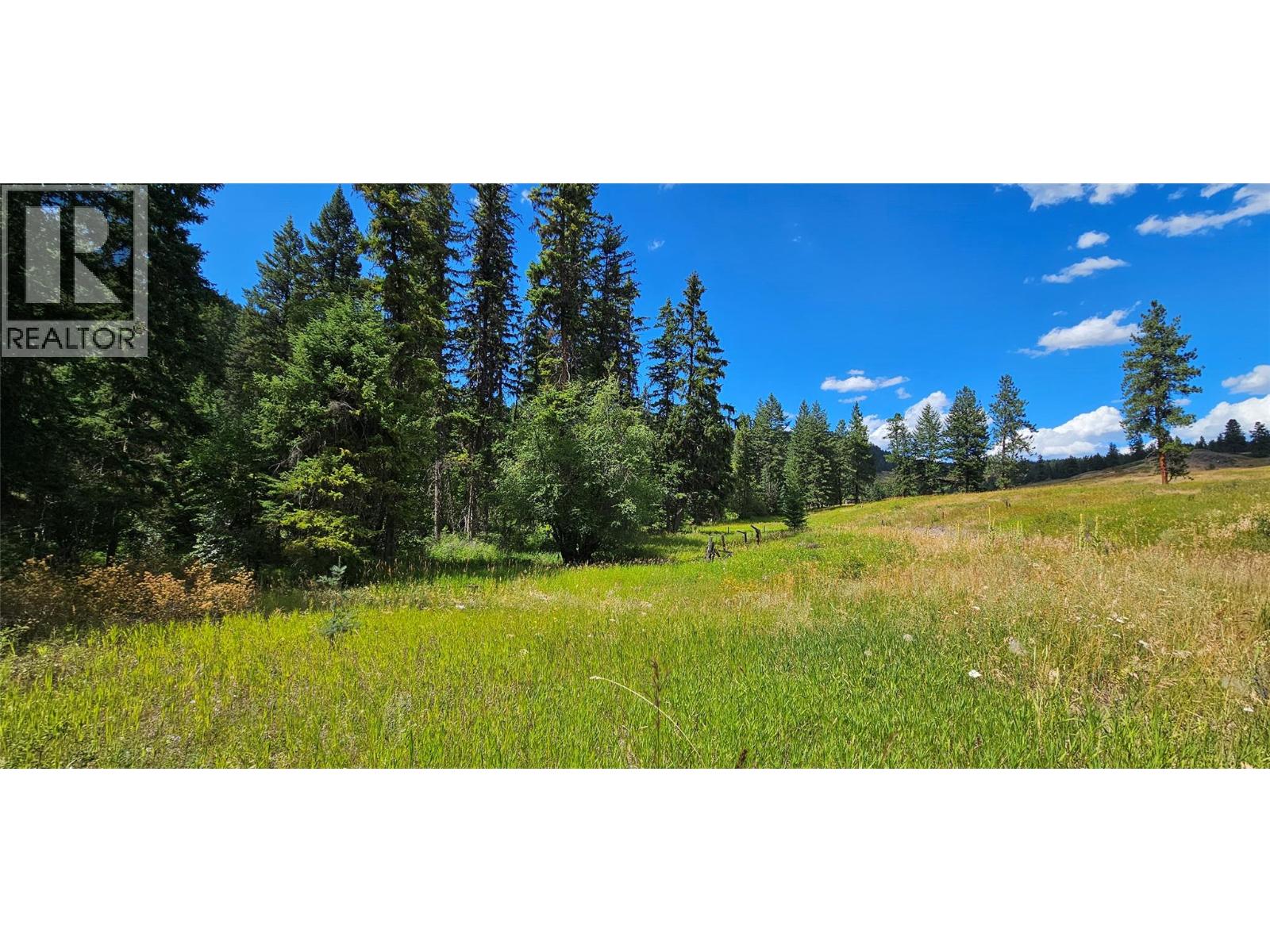 Dl 311s Nicholson Creek Road Unit# Lot A, Rock Creek, British Columbia  V0H 1Y0 - Photo 21 - 10373535