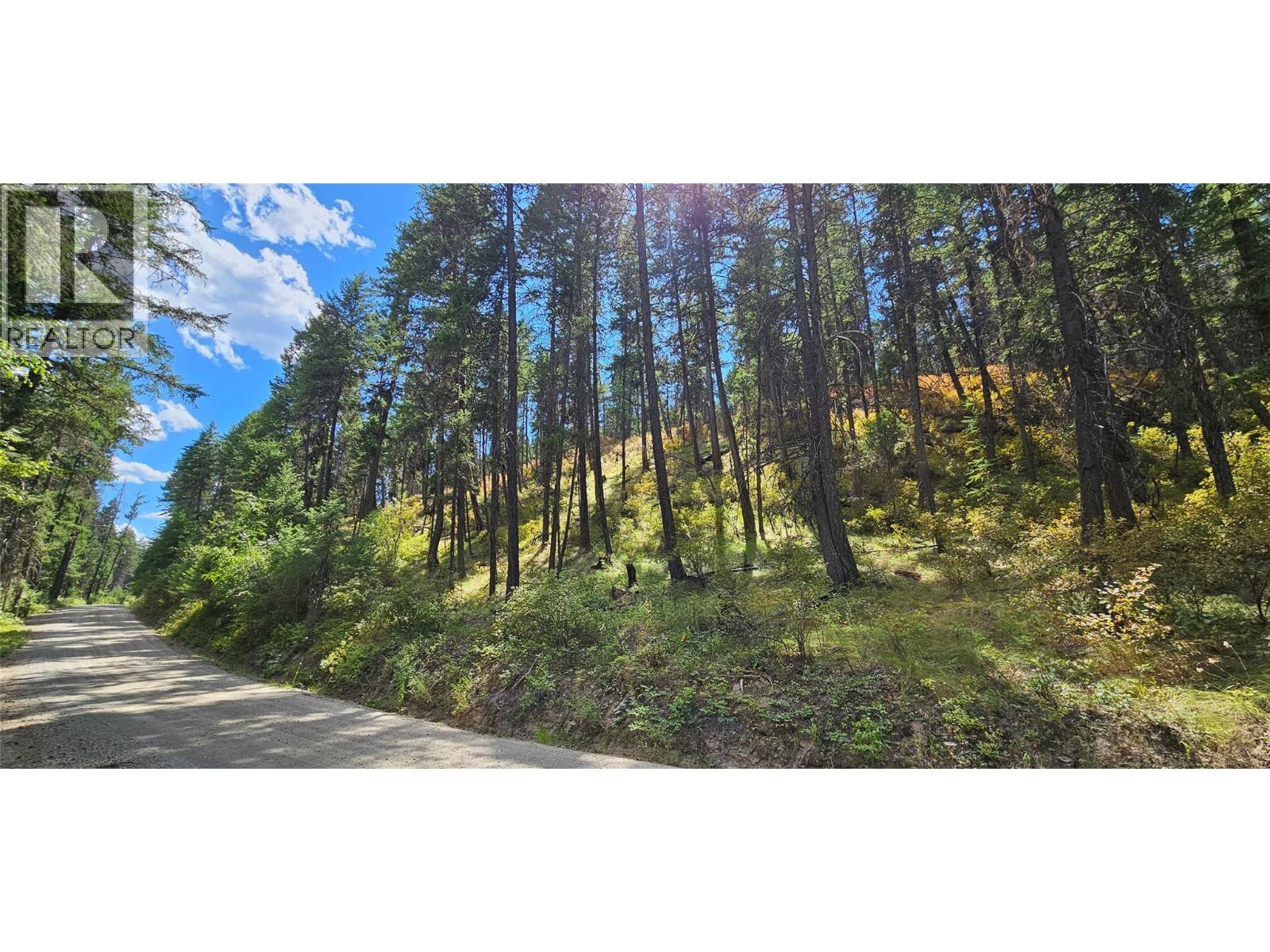 Dl 311s Nicholson Creek Road Unit# Lot A, Rock Creek, British Columbia  V0H 1Y0 - Photo 23 - 10373535