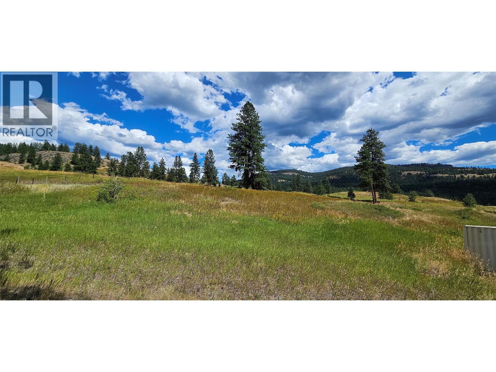 Dl 311s Nicholson Creek Road Unit# Lot A, Rock Creek, British Columbia  V0H 1Y0 - Photo 8 - 10373535