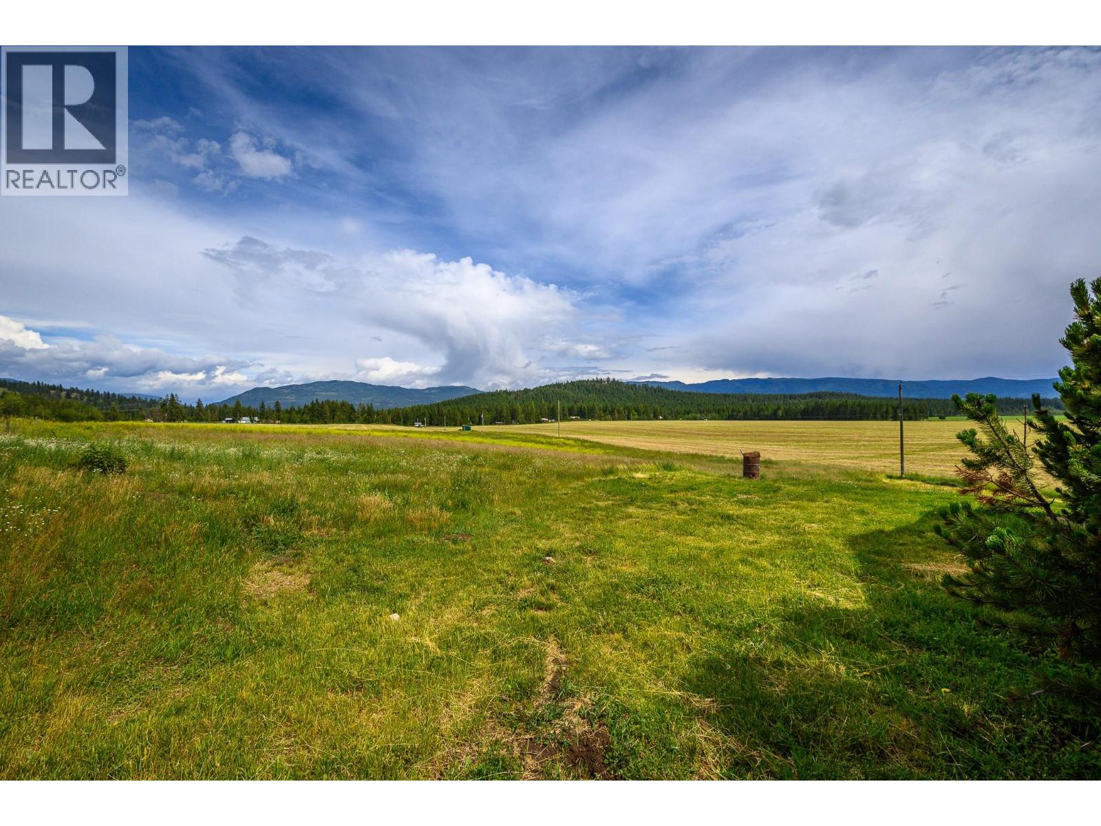 3575 Canyon Road, Spallumcheen, British Columbia  V4Y 0M7 - Photo 11 - 10373551