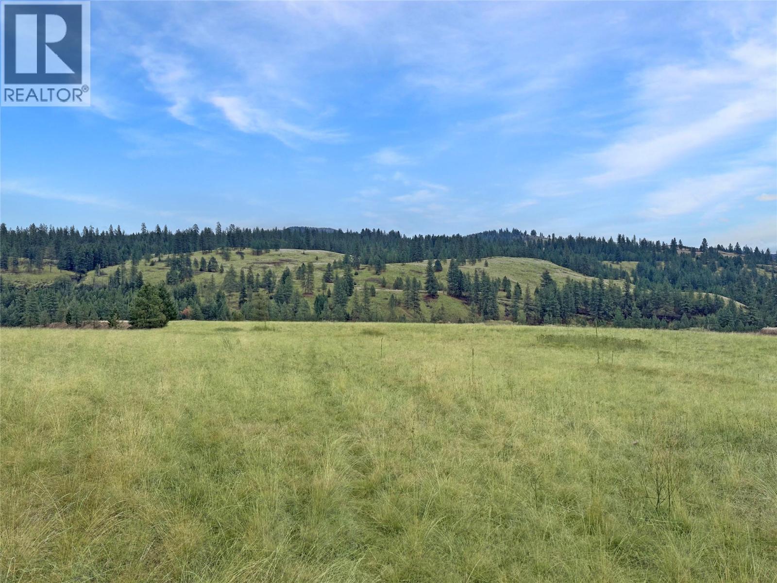 Thomet Avenue Lot# Lot A, Midway, British Columbia  V0H 1M0 - Photo 7 - 10373527