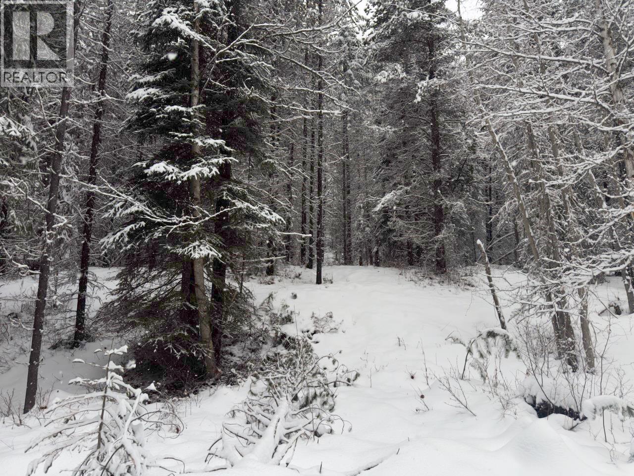 Km 53 Christian Valley Road Lot# 3, Westbridge, British Columbia  V0H 2B0 - Photo 13 - 10373639