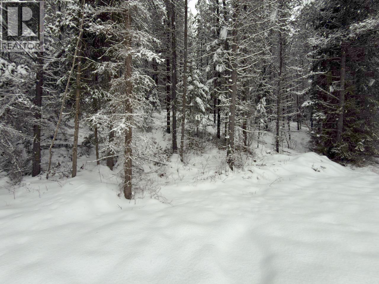 Km 53 Christian Valley Road Lot# 3, Westbridge, British Columbia  V0H 2B0 - Photo 18 - 10373639