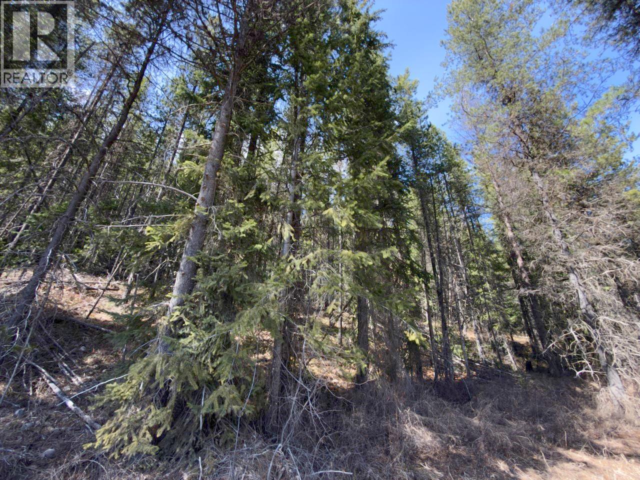 Km 53 Christian Valley Road Lot# 3, Westbridge, British Columbia  V0H 2B0 - Photo 4 - 10373639