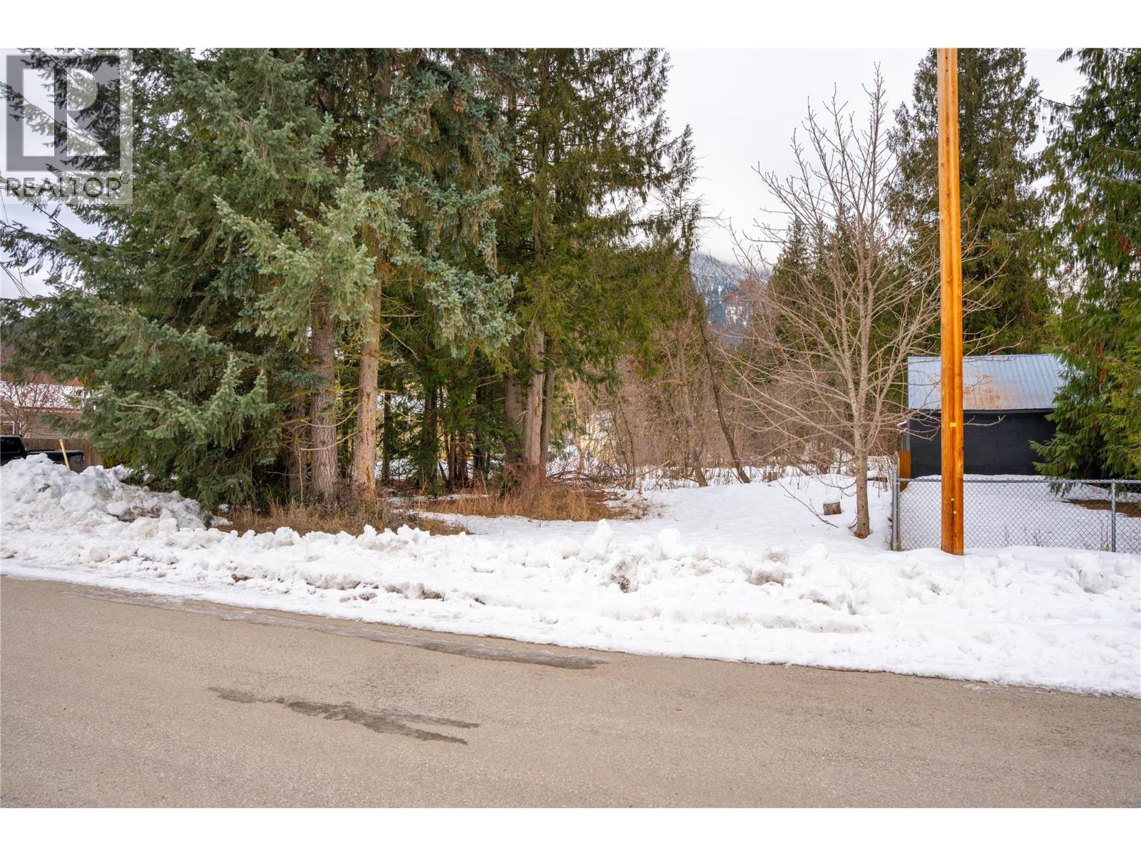1206 Carlson Street, Revelstoke, British Columbia  V0E 2S0 - Photo 2 - 10373561