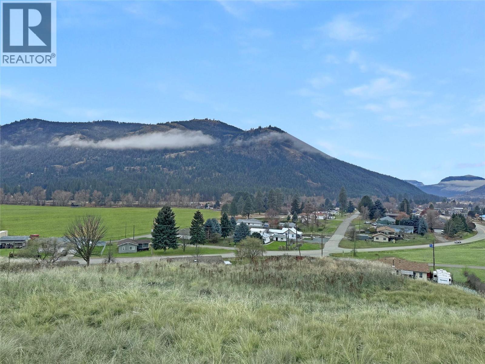 Lot 14 Thomet Avenue, Midway, British Columbia  V0H 1M0 - Photo 5 - 10373692