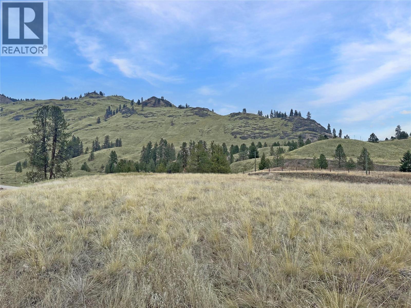 Lot 11 Thomet Avenue, Midway, British Columbia  V0H 1M0 - Photo 3 - 10373690