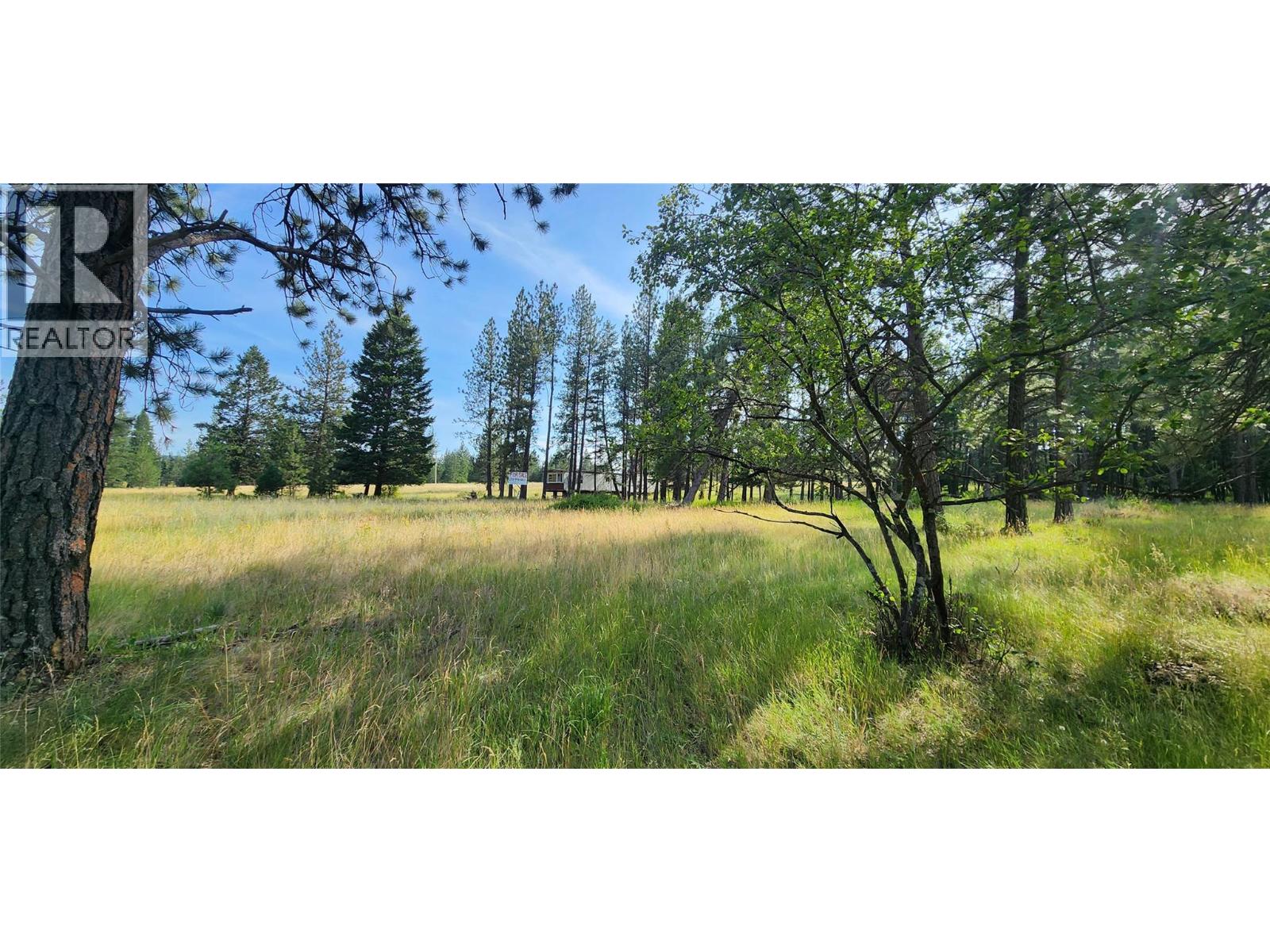 Letcher Street Lot# Parcel A, Elko, British Columbia  V0B 1T3 - Photo 10 - 10373608