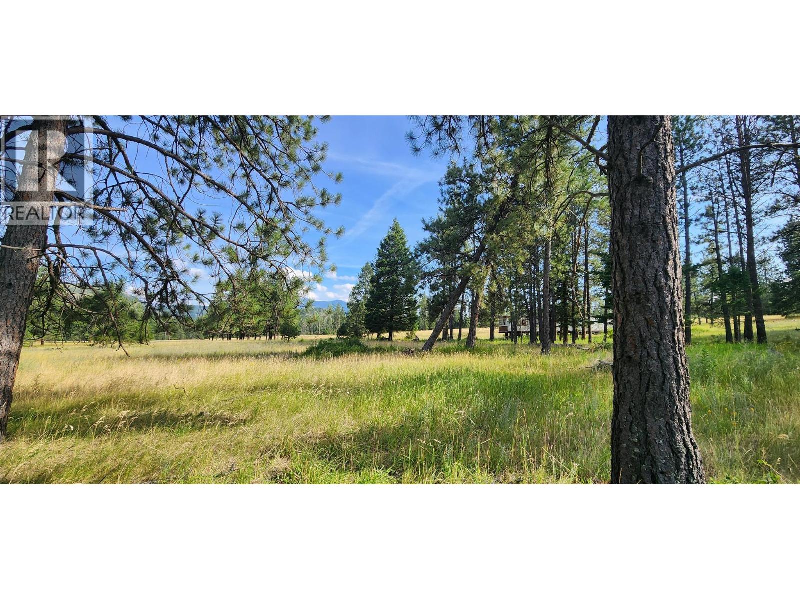 Letcher Street Lot# Parcel A, Elko, British Columbia  V0B 1T3 - Photo 13 - 10373608