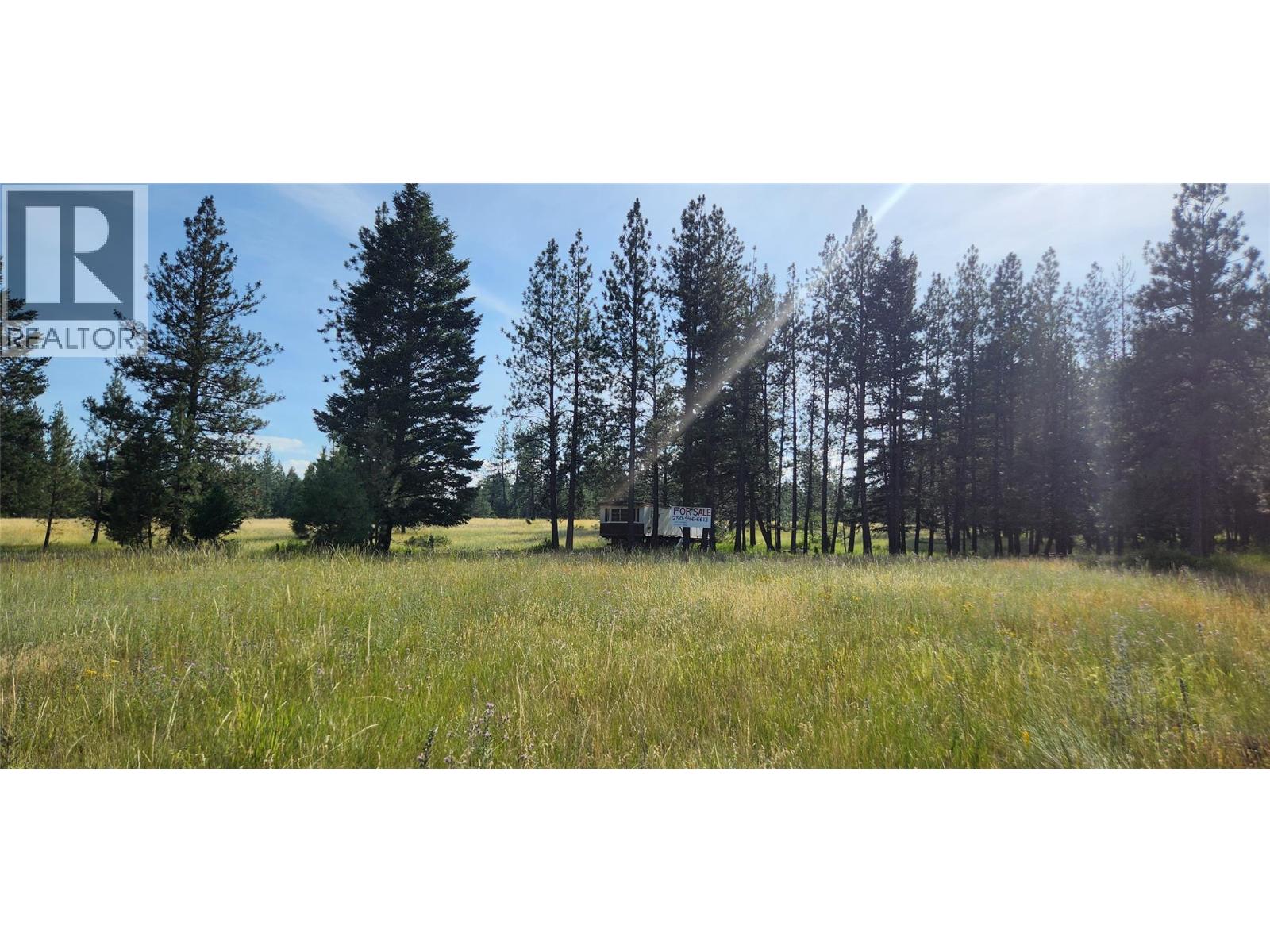 Letcher Street Lot# Parcel A, Elko, British Columbia  V0B 1T3 - Photo 5 - 10373608