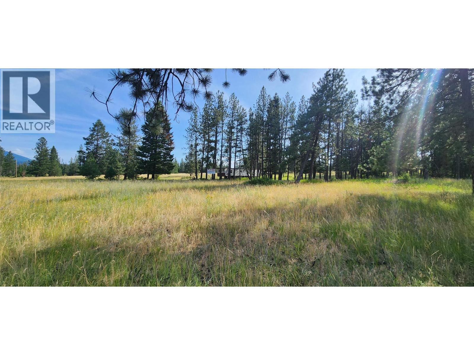 Letcher Street Lot# Parcel A, Elko, British Columbia  V0B 1T3 - Photo 7 - 10373608