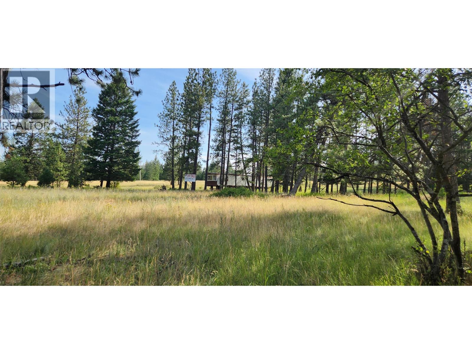 Letcher Street Lot# Parcel A, Elko, British Columbia  V0B 1T3 - Photo 8 - 10373608